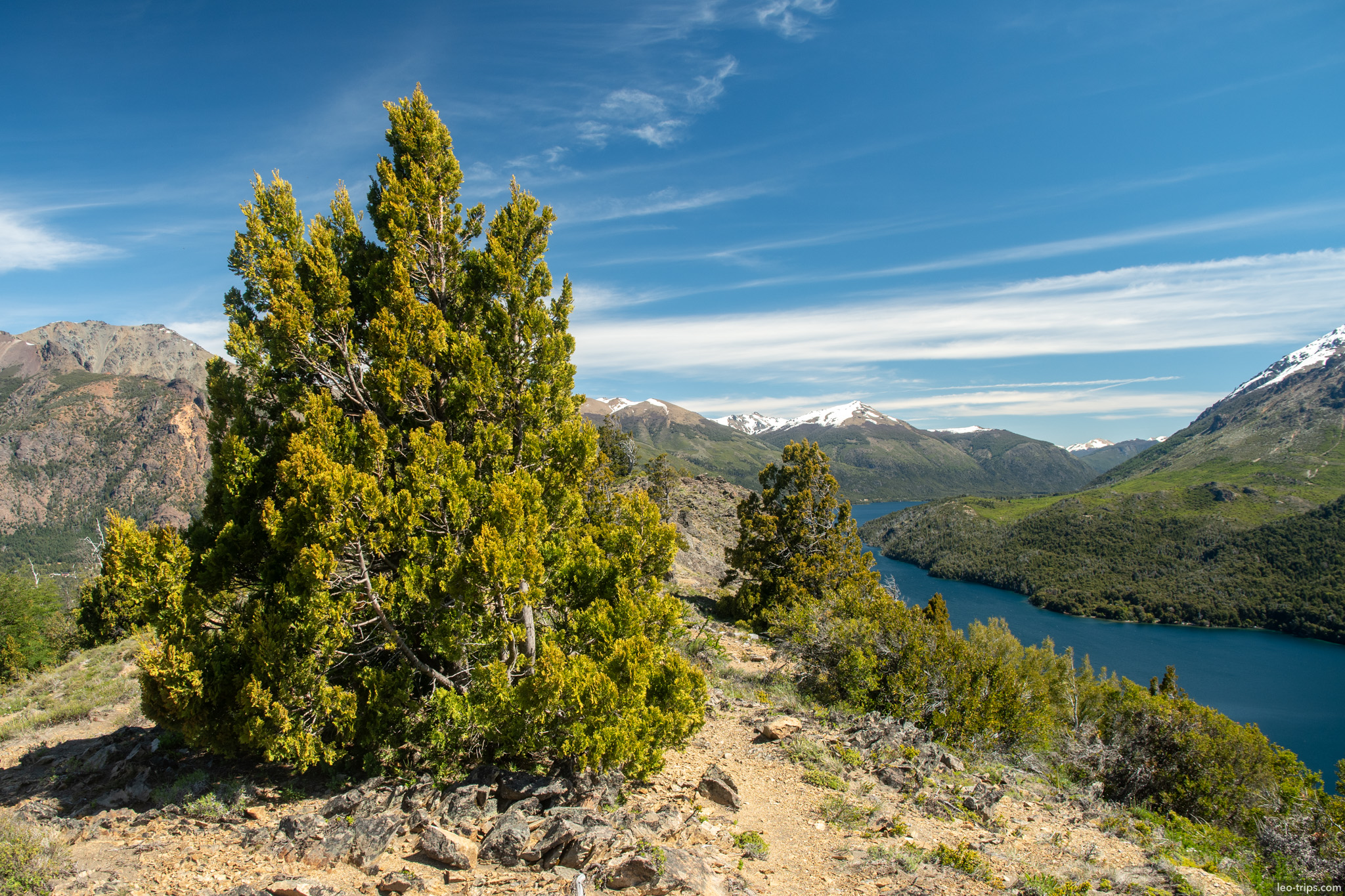 cypress tree lake viewpoint cerro otto trail