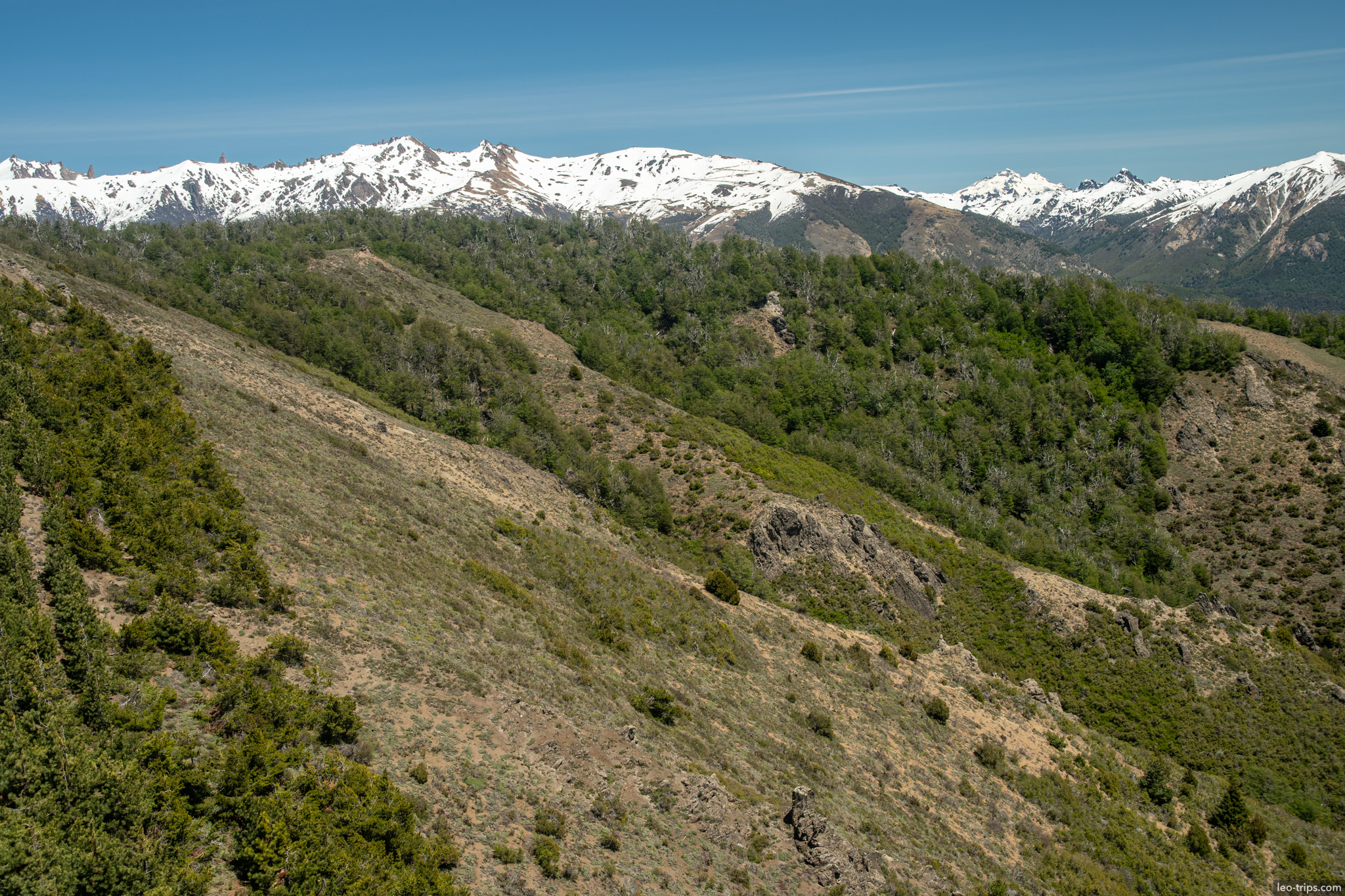 dry mountain slope forest view cerro otto trail