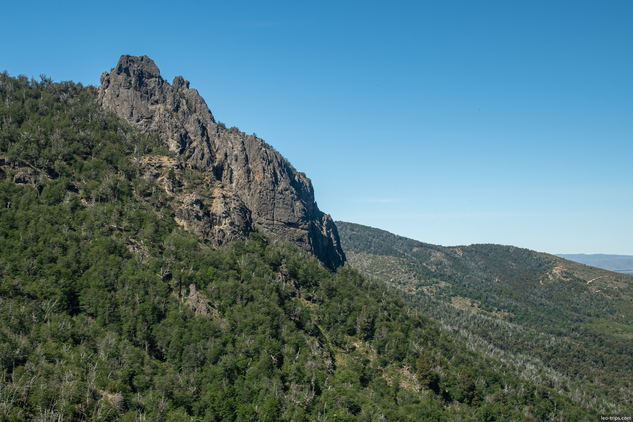 jagged rock peak forest cerro otto trail