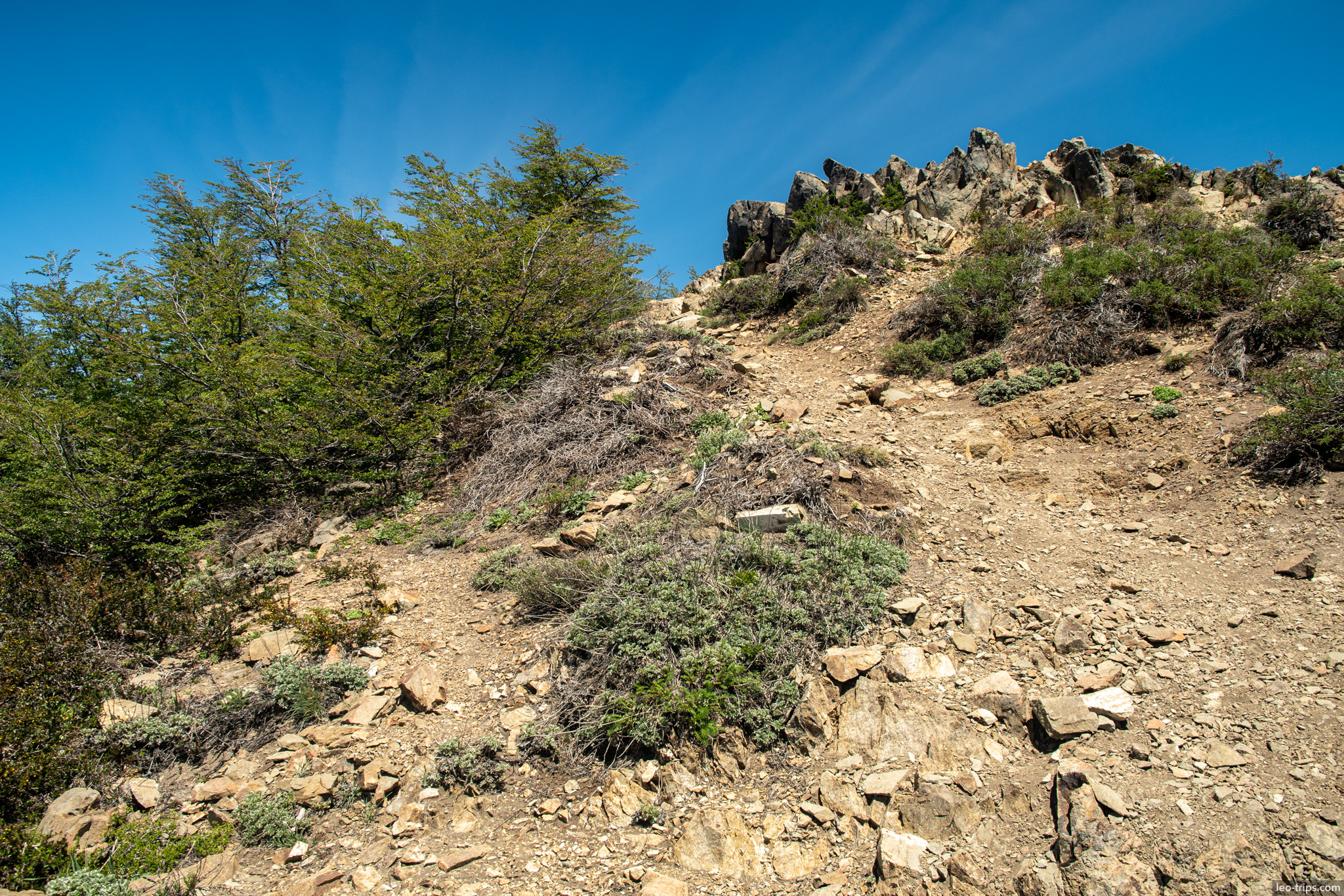 rocky hiking trail forest cerro otto trail