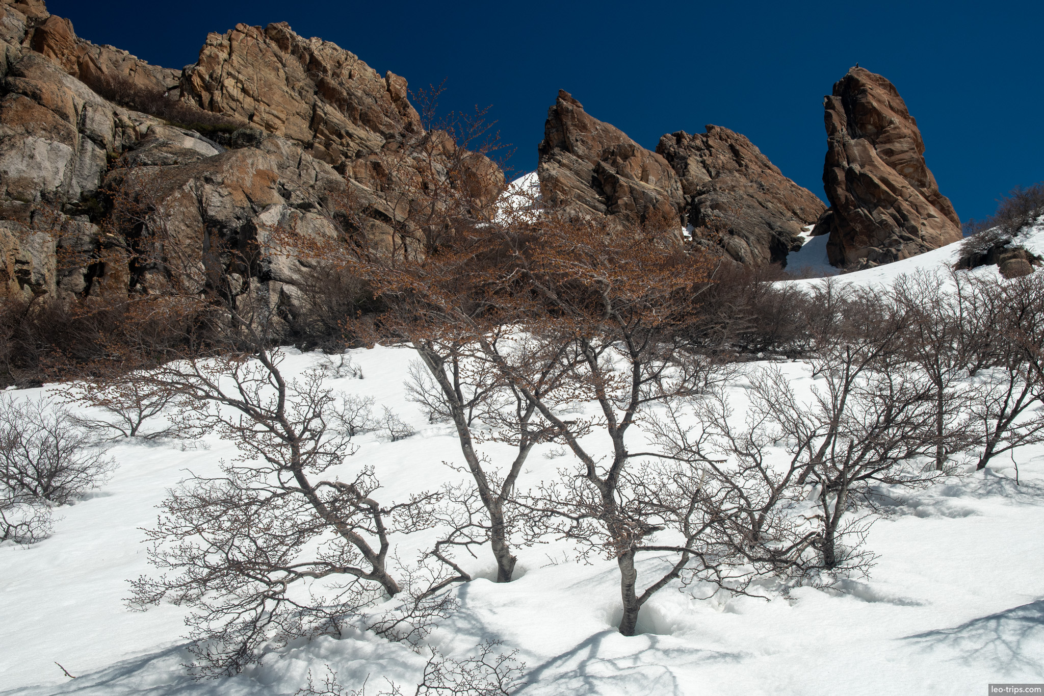 bare trees below rock towers frey refuge trail