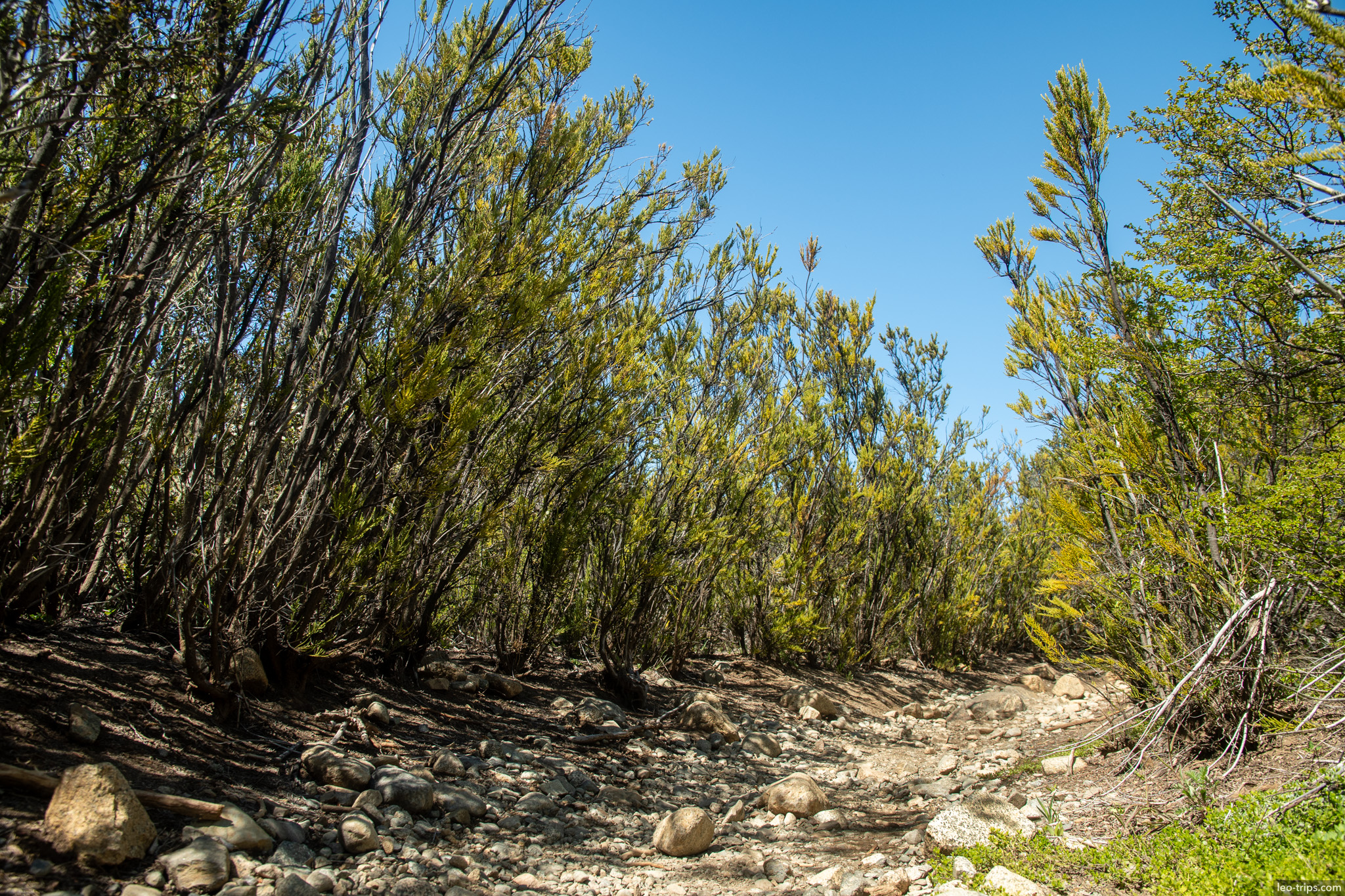 dry rocky creek bed trail frey refuge trail