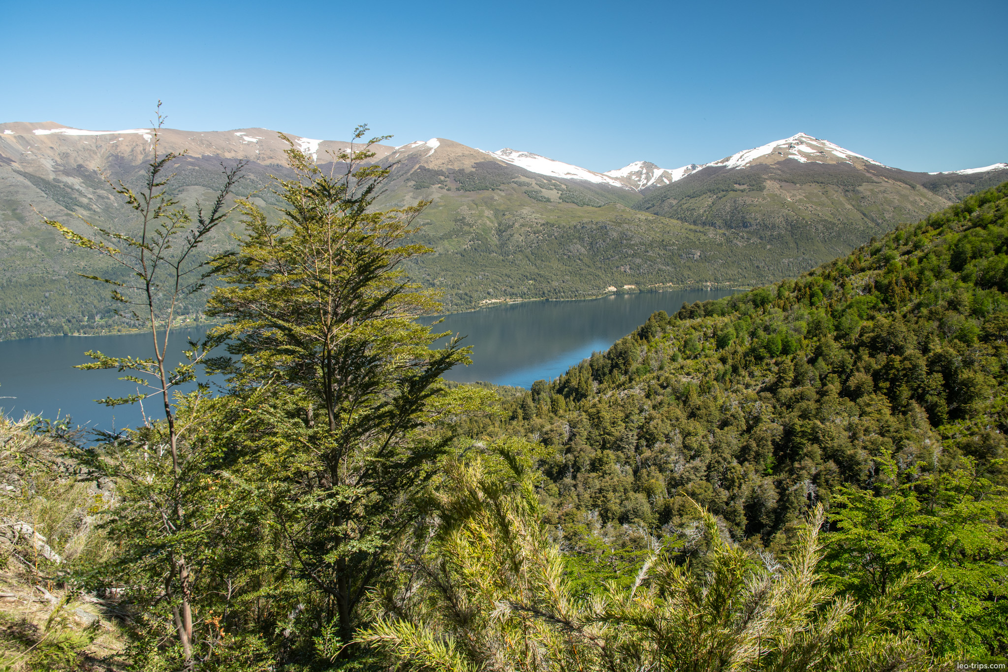lake view through forest canopy frey refuge trail