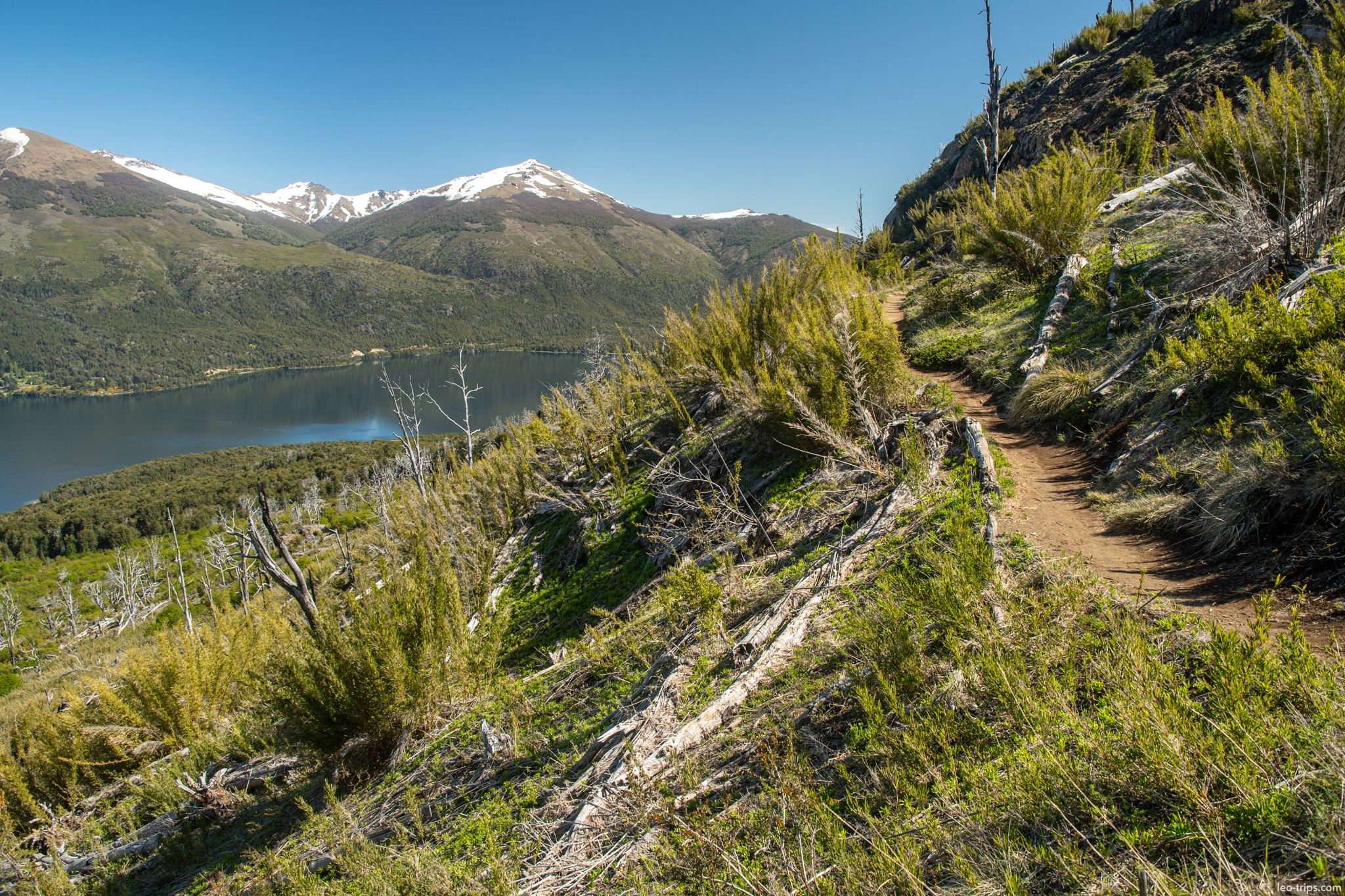 ridge trail overlooking lake frey refuge trail