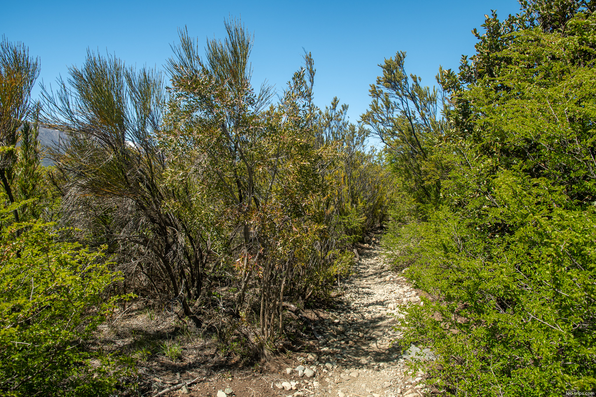 rocky trail through patagonian shrubs frey refuge trail