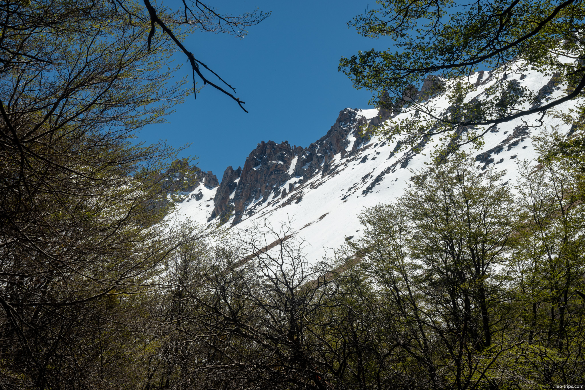 snowy jagged peaks through trees frey refuge trail