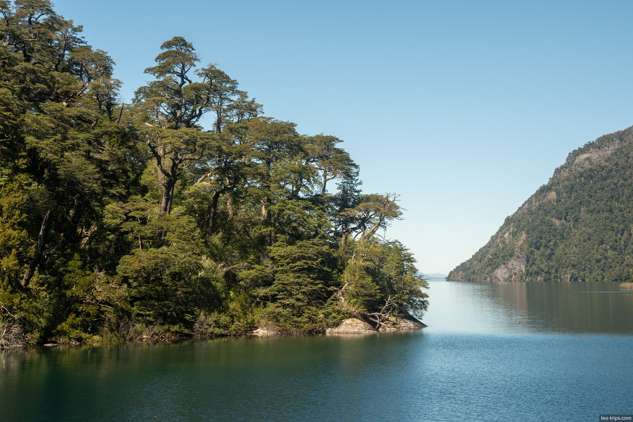 forested lake narrow channel puerto blest