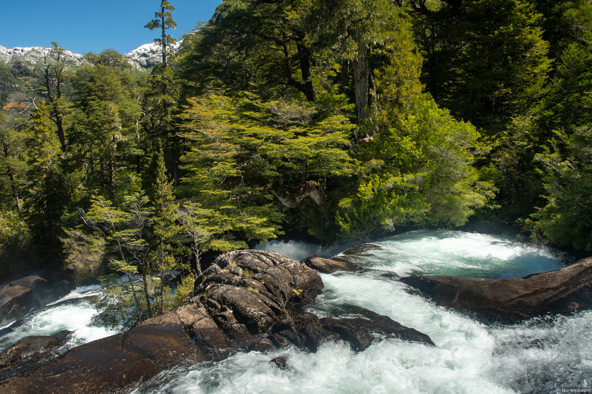 river bend with mossy boulder puerto blest