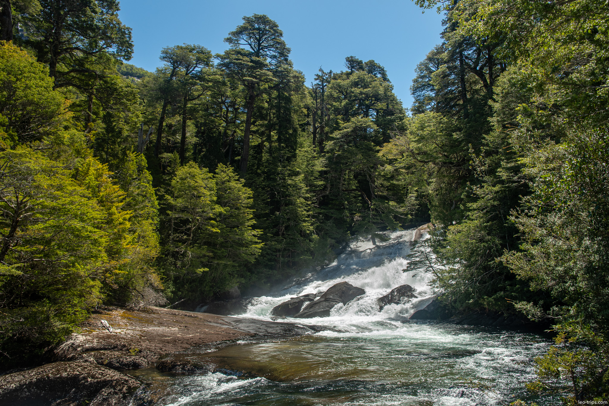 river rapids in forest clearing puerto blest