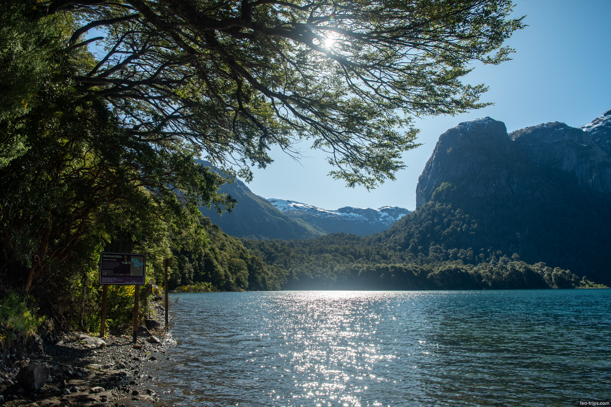 sunlit lake view under tree branch puerto blest
