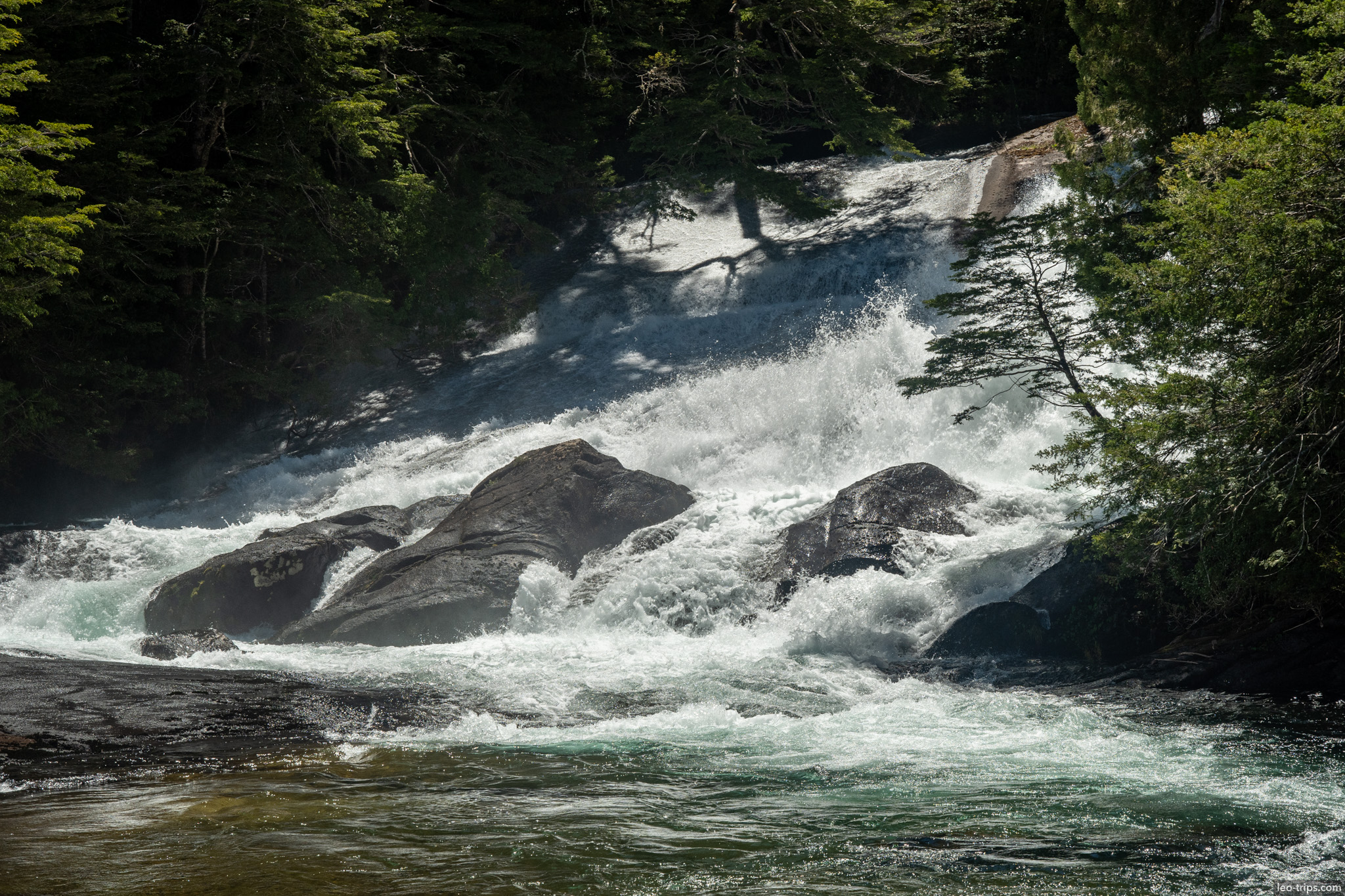 waterfall cascading through forest gap puerto blest