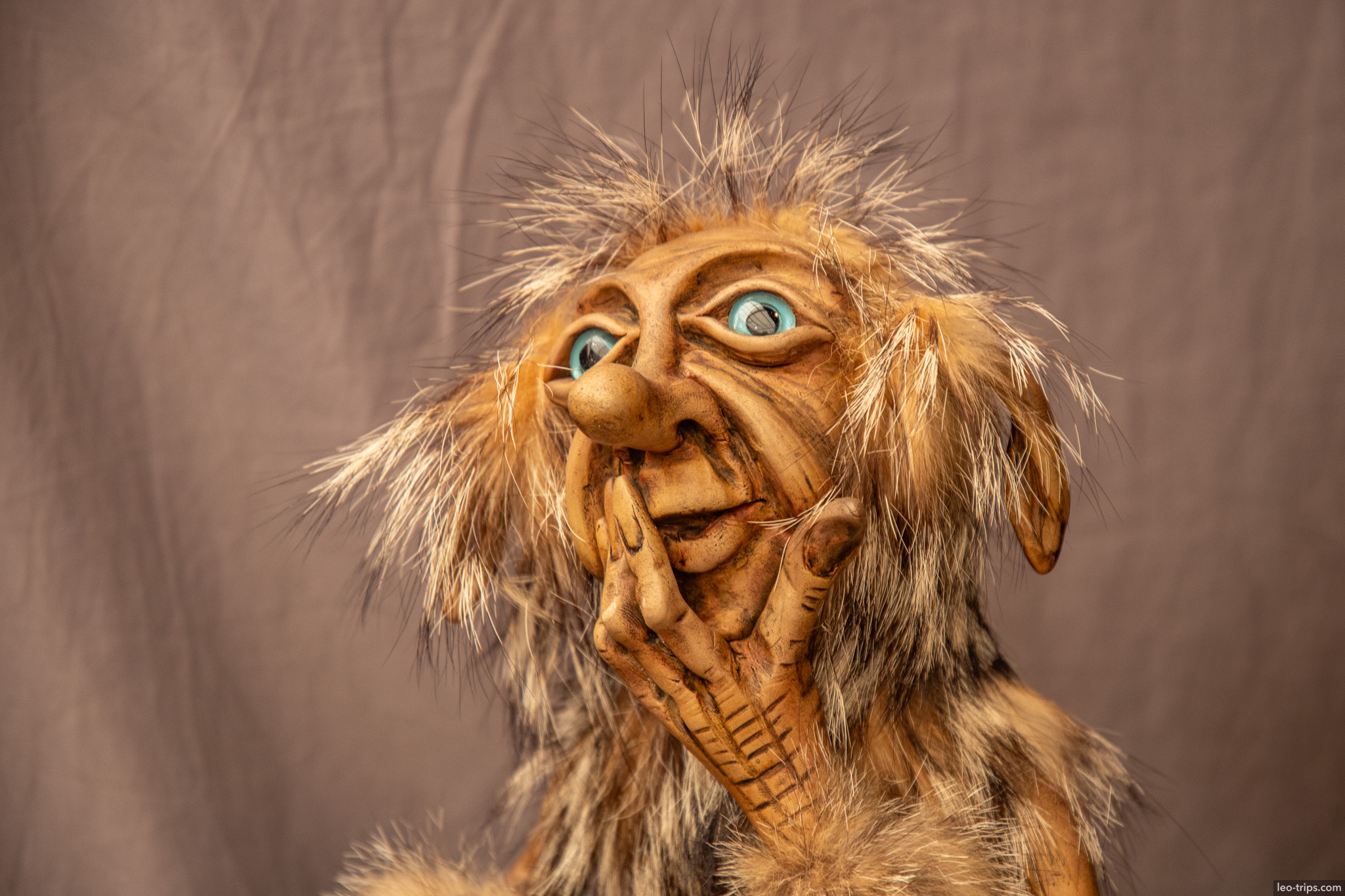 wooden troll figure face closeup san carlos de bariloche