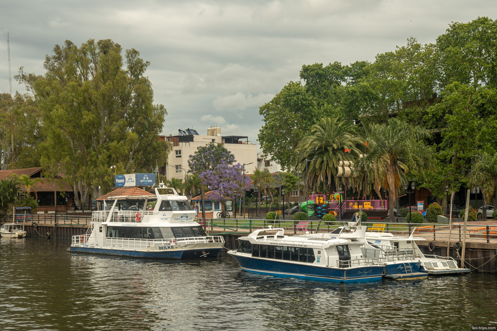 docked boats riverside park jacaranda tree tigre