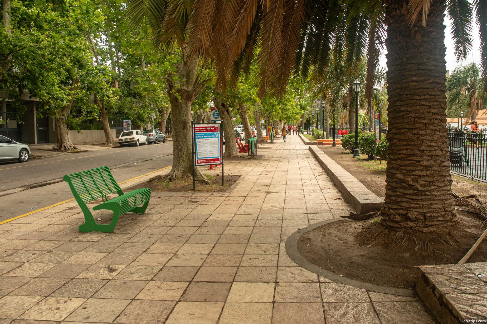 paseo victorica palm tree promenade tigre