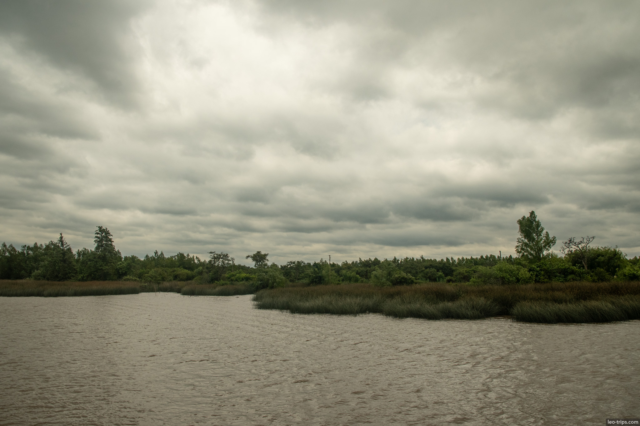 wide river marshland cloudy sky tigre tigre