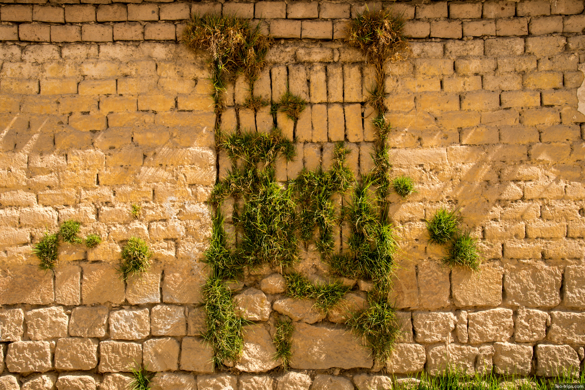 grass growing adobe brick wall copacabana copacabana