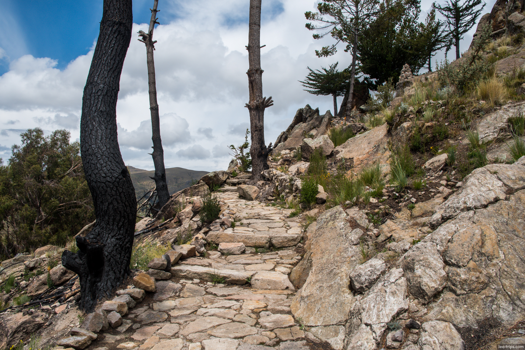 stone path burnt trees hillside copacabana copacabana