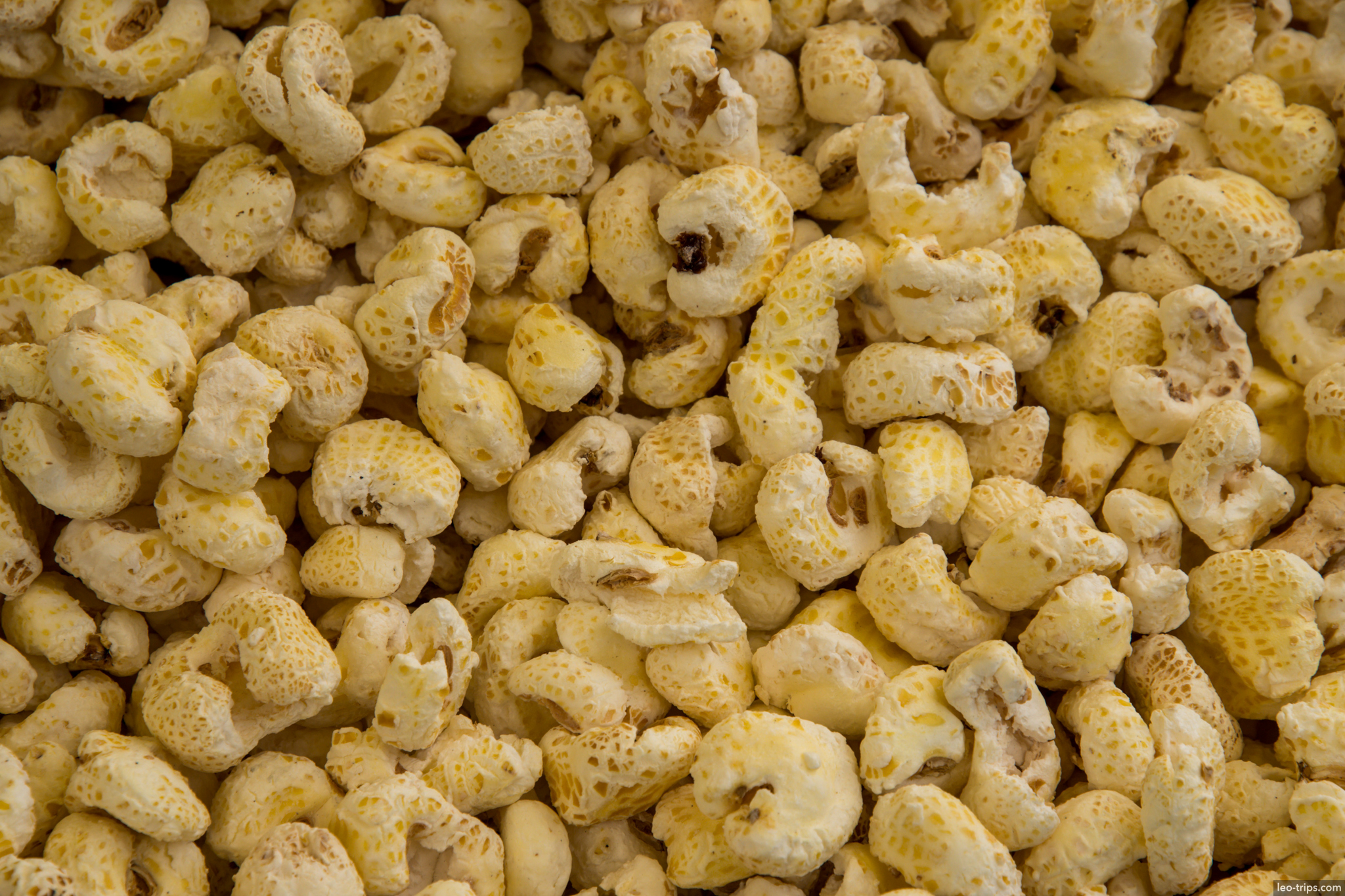 toasted corn maiz tostado market copacabana