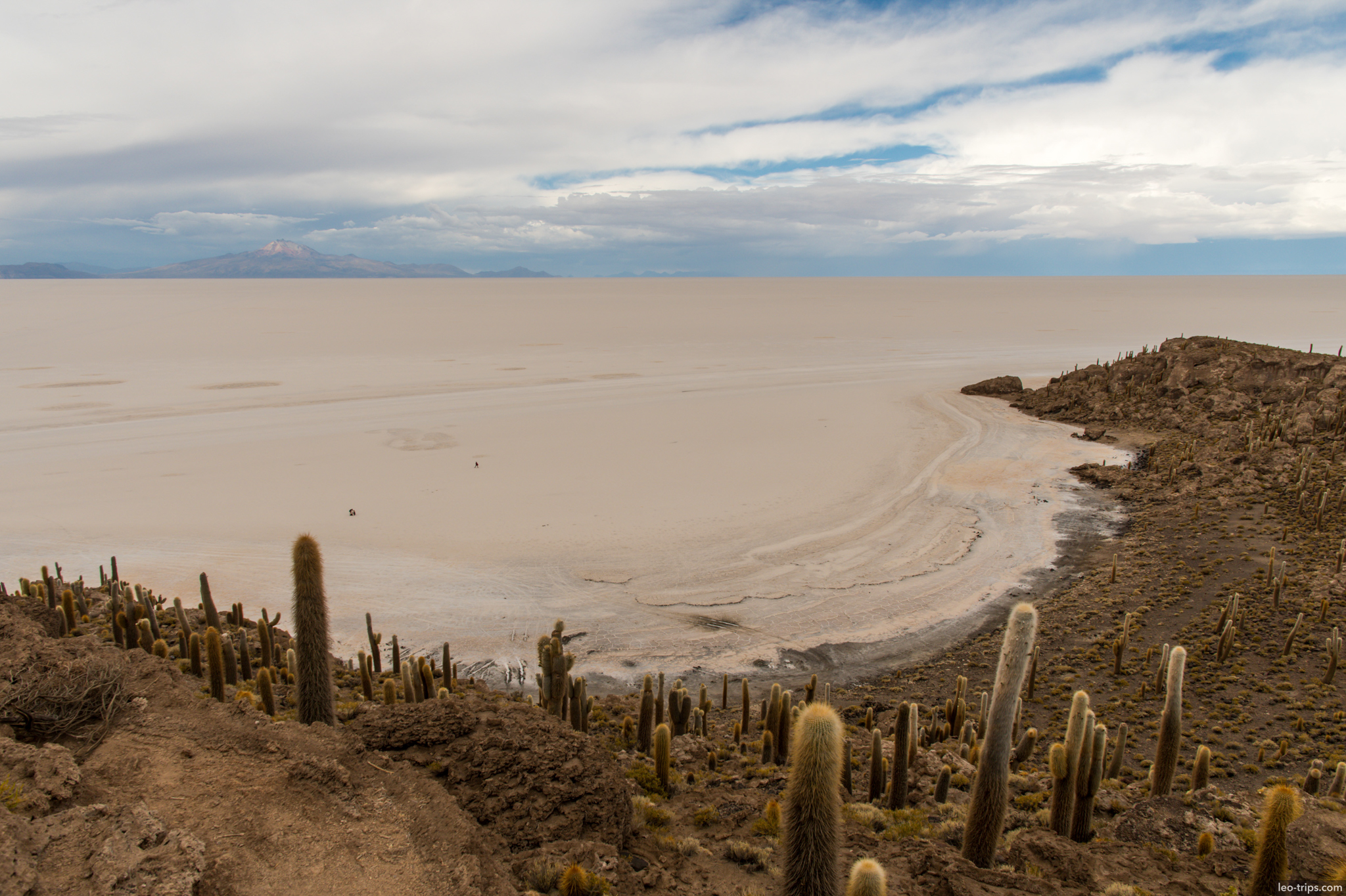 isla incahuasi view from top salt flat salar de uyuni