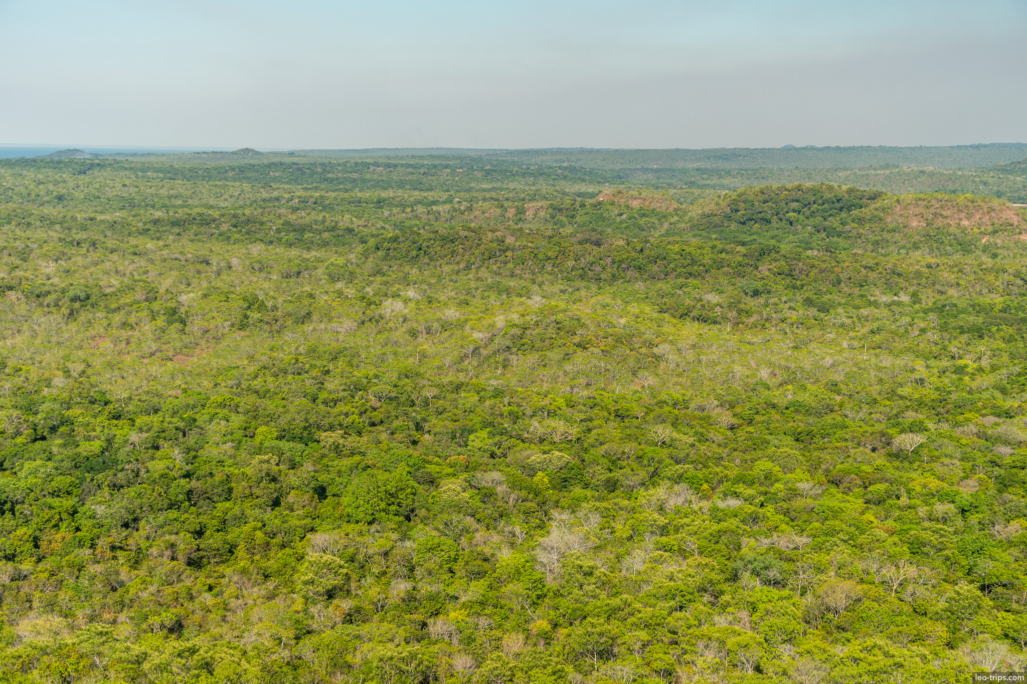 endless amazon rainforest canopy alter do chao