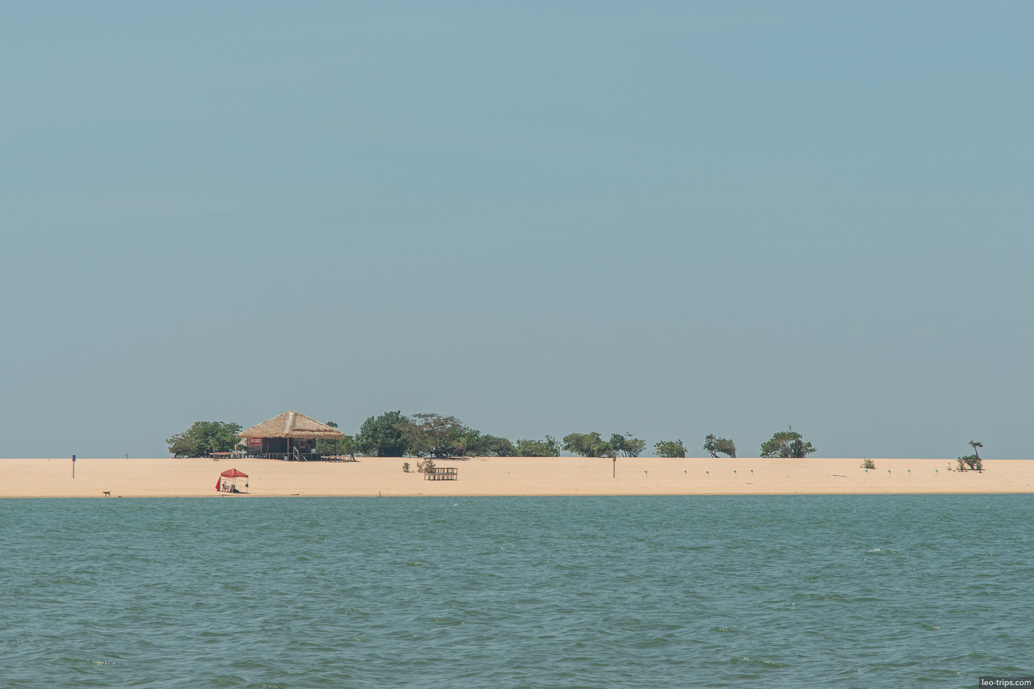 forested island in river alter do chao