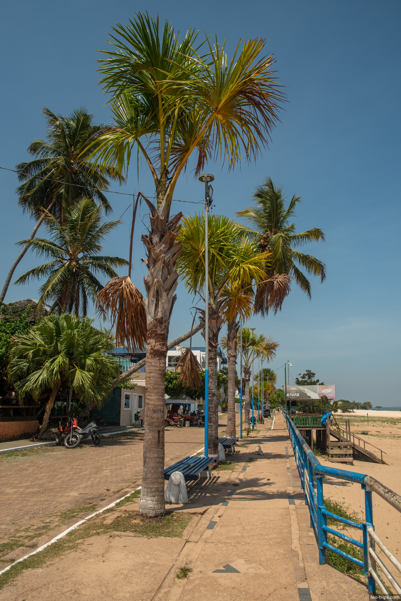 palm tree lined promenade alter do chao