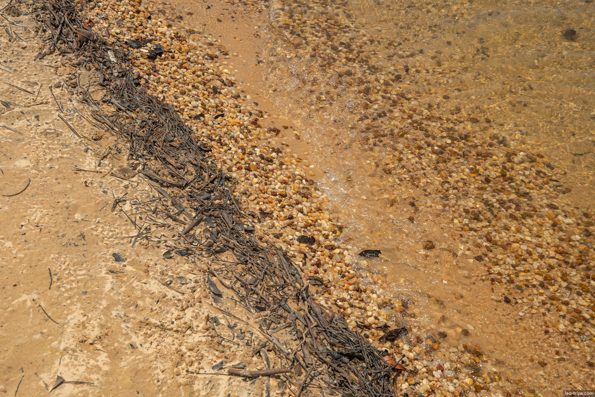 river shoreline small branches alter do chao
