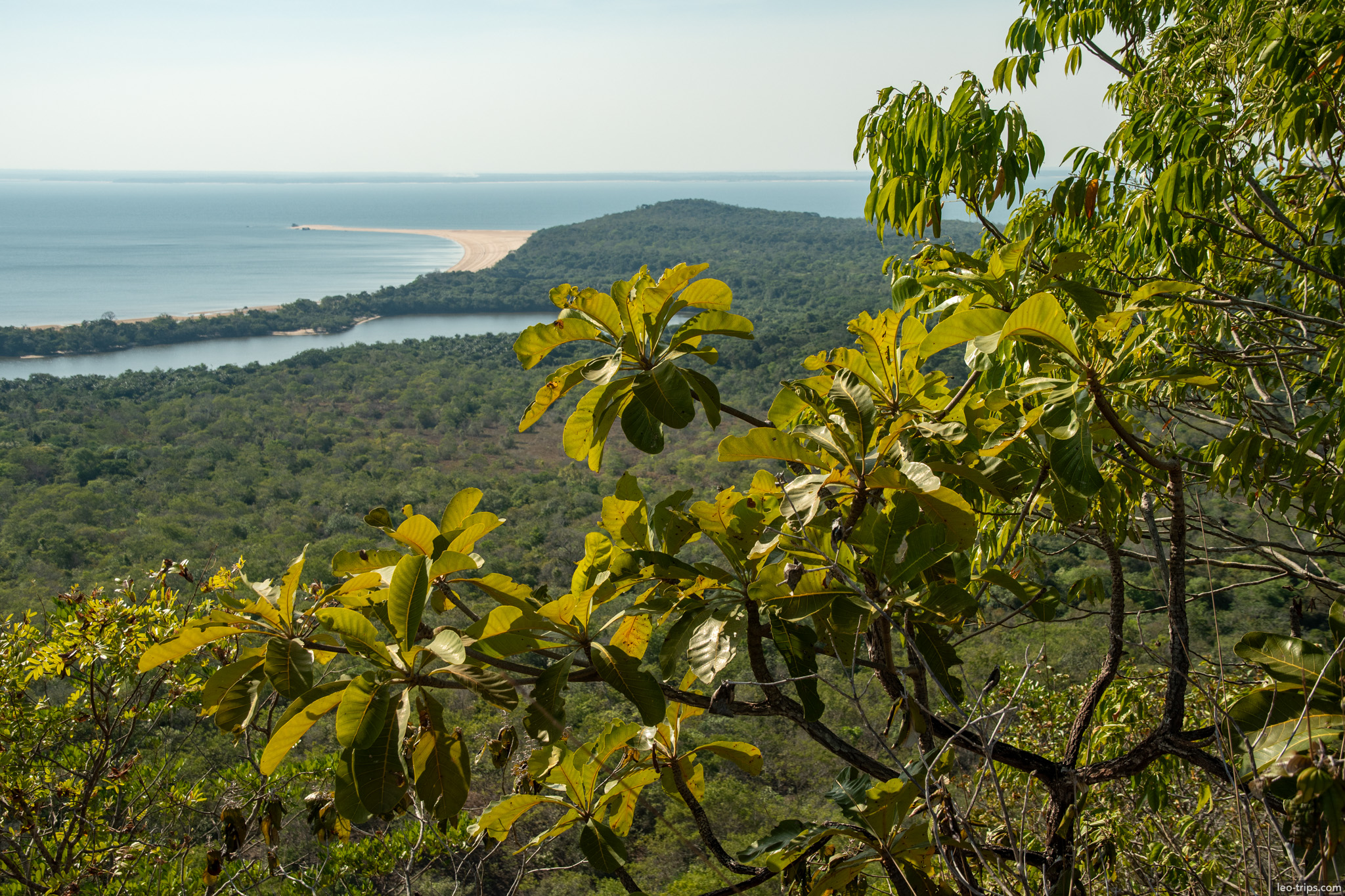 river view lush vegetation alter do chao