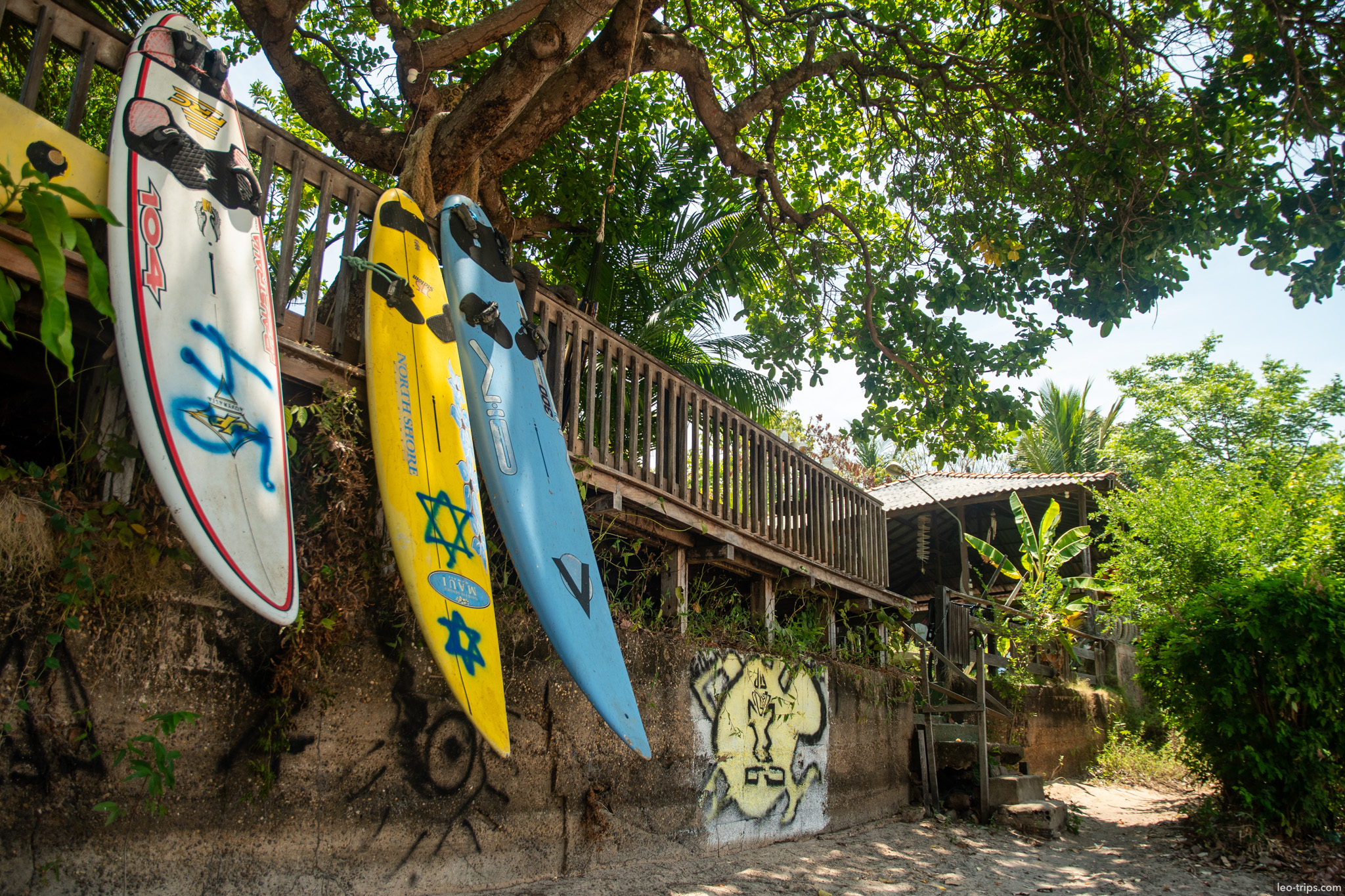 surfboards against tree alter do chao