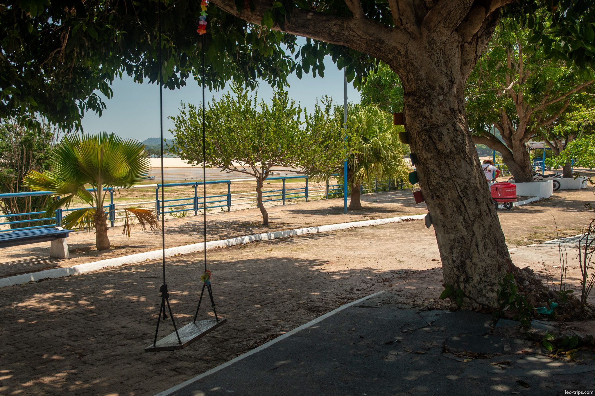 tree swing sandy plaza alter do chao