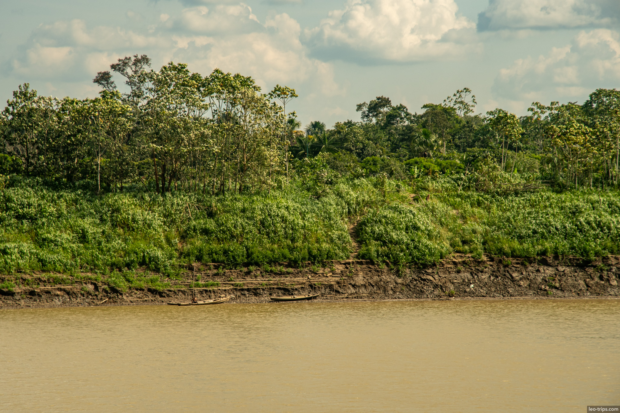 amazon river jungle backdrop amazon river