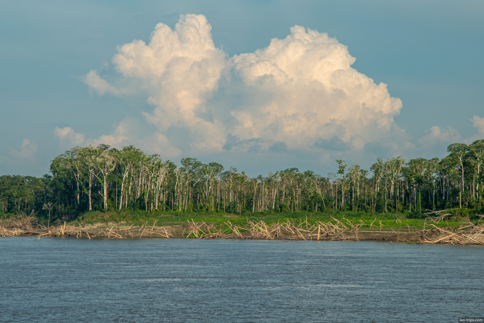 amazon river riverbank amazon river