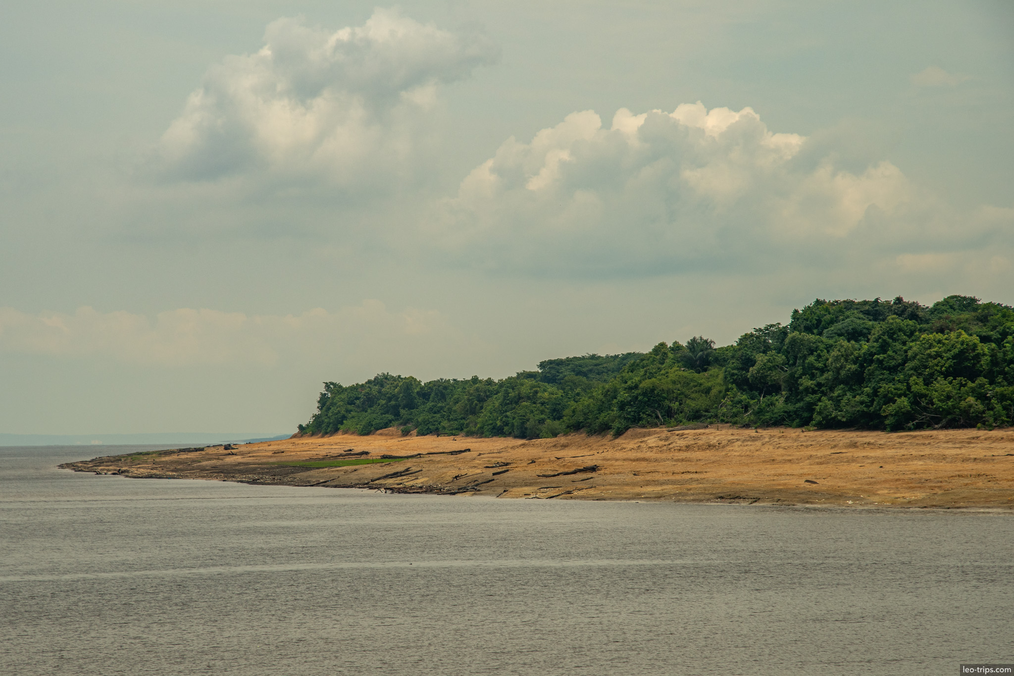 amazon river shoreline amazon river