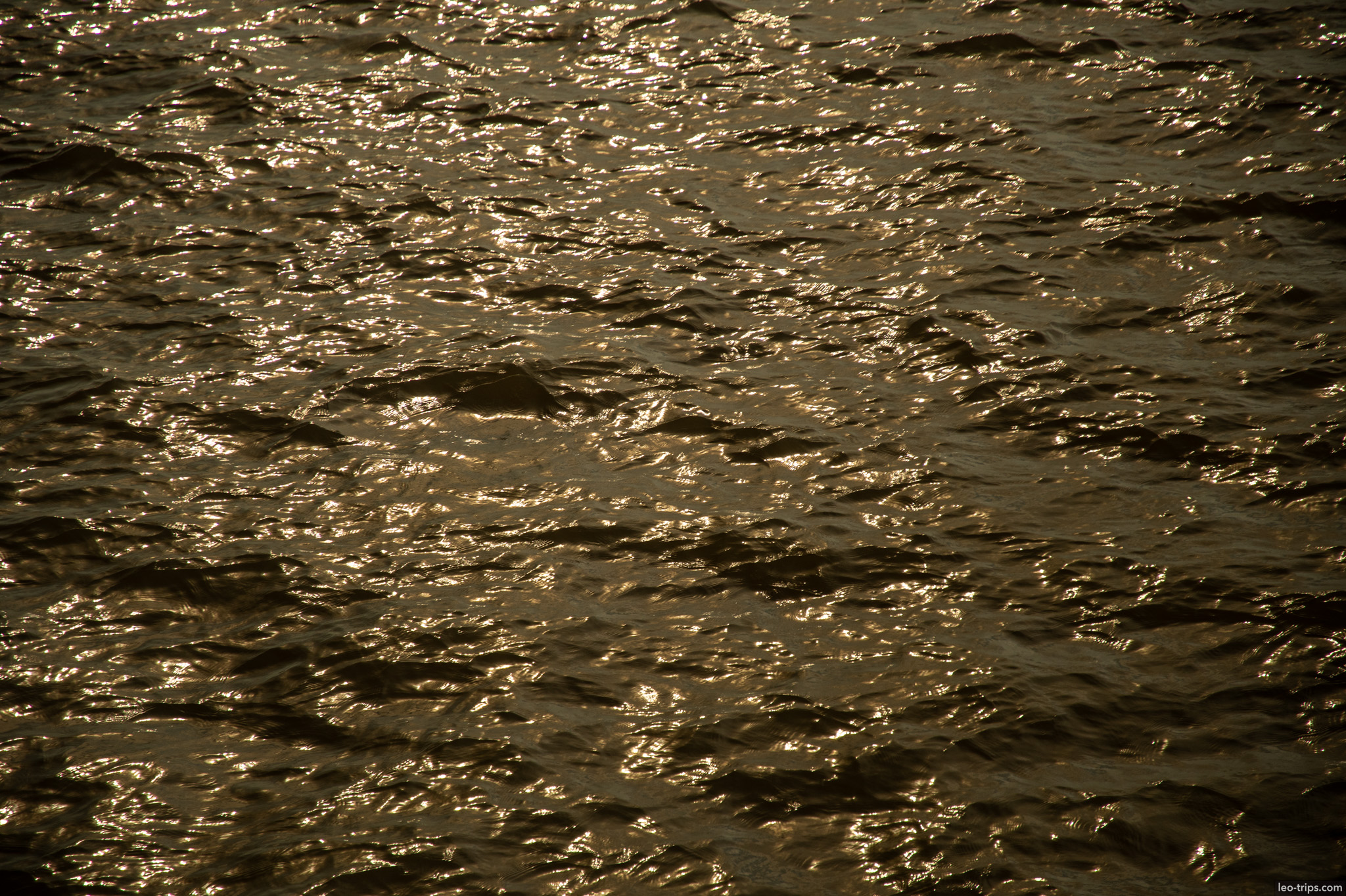 amazon river texture amazon river
