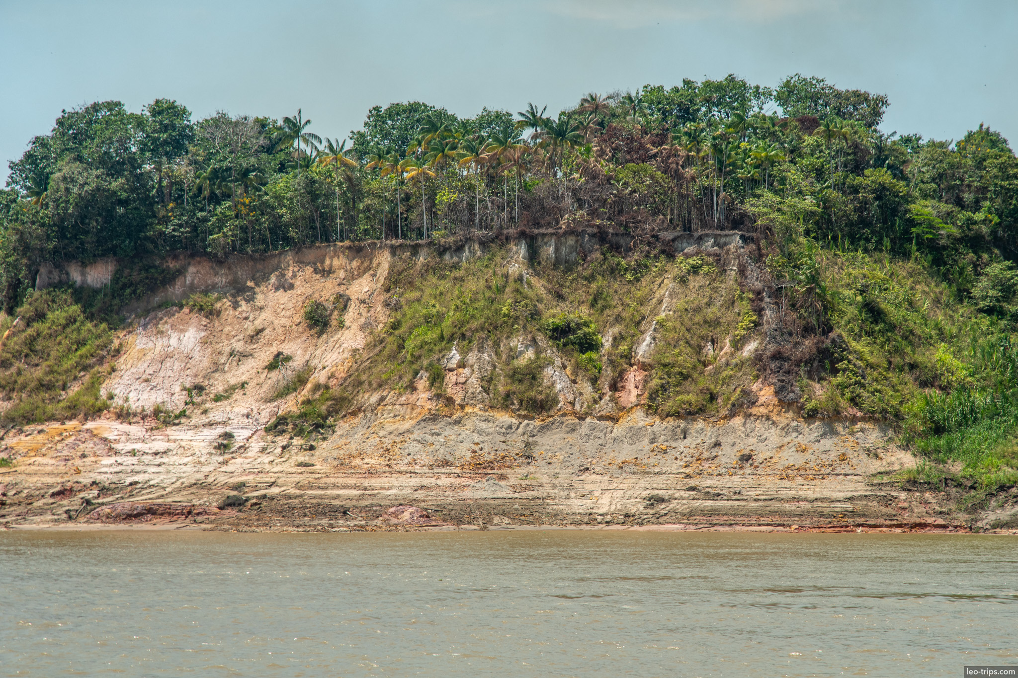 amazon riverbank view amazon river