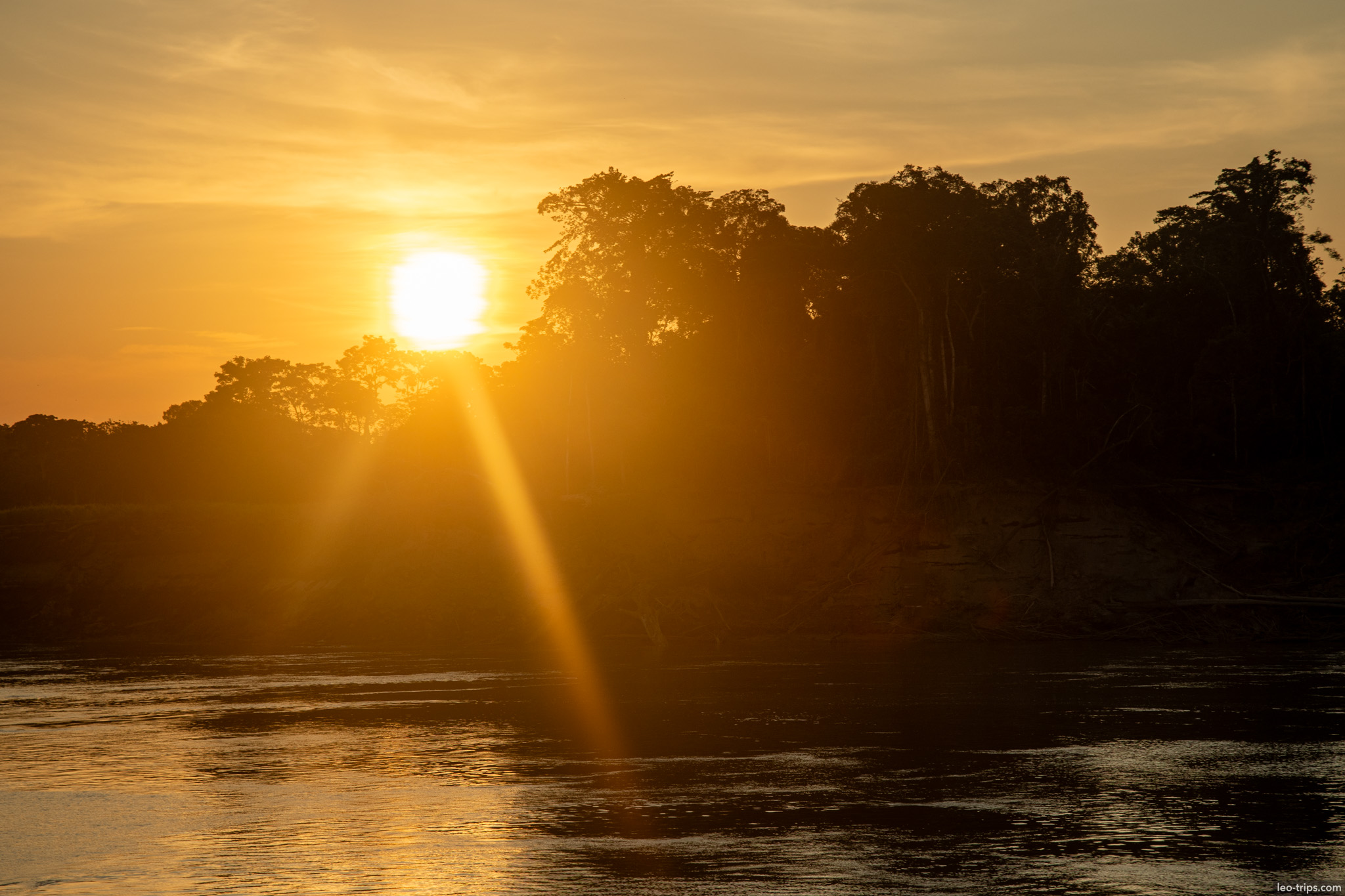 golden light on amazon river amazon river