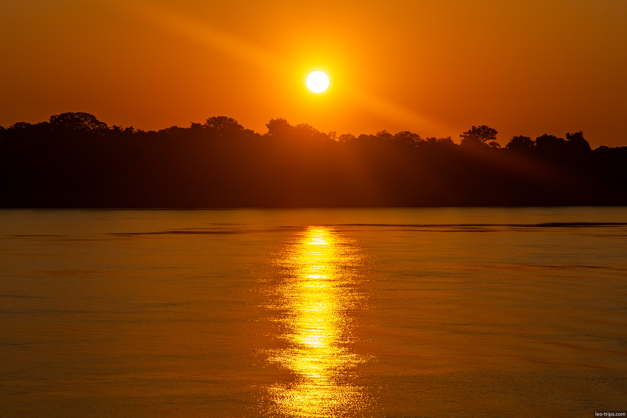 golden light on river amazon river