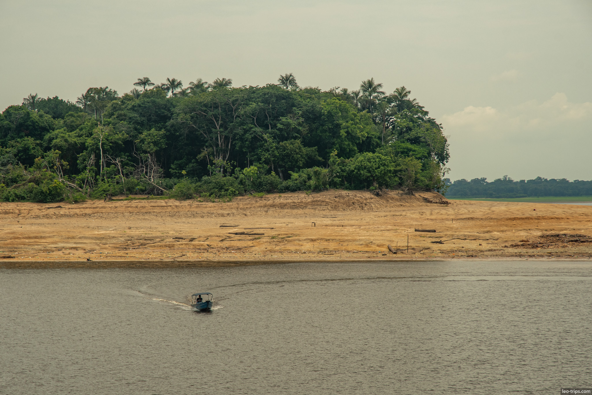 jungle bordering river amazon river
