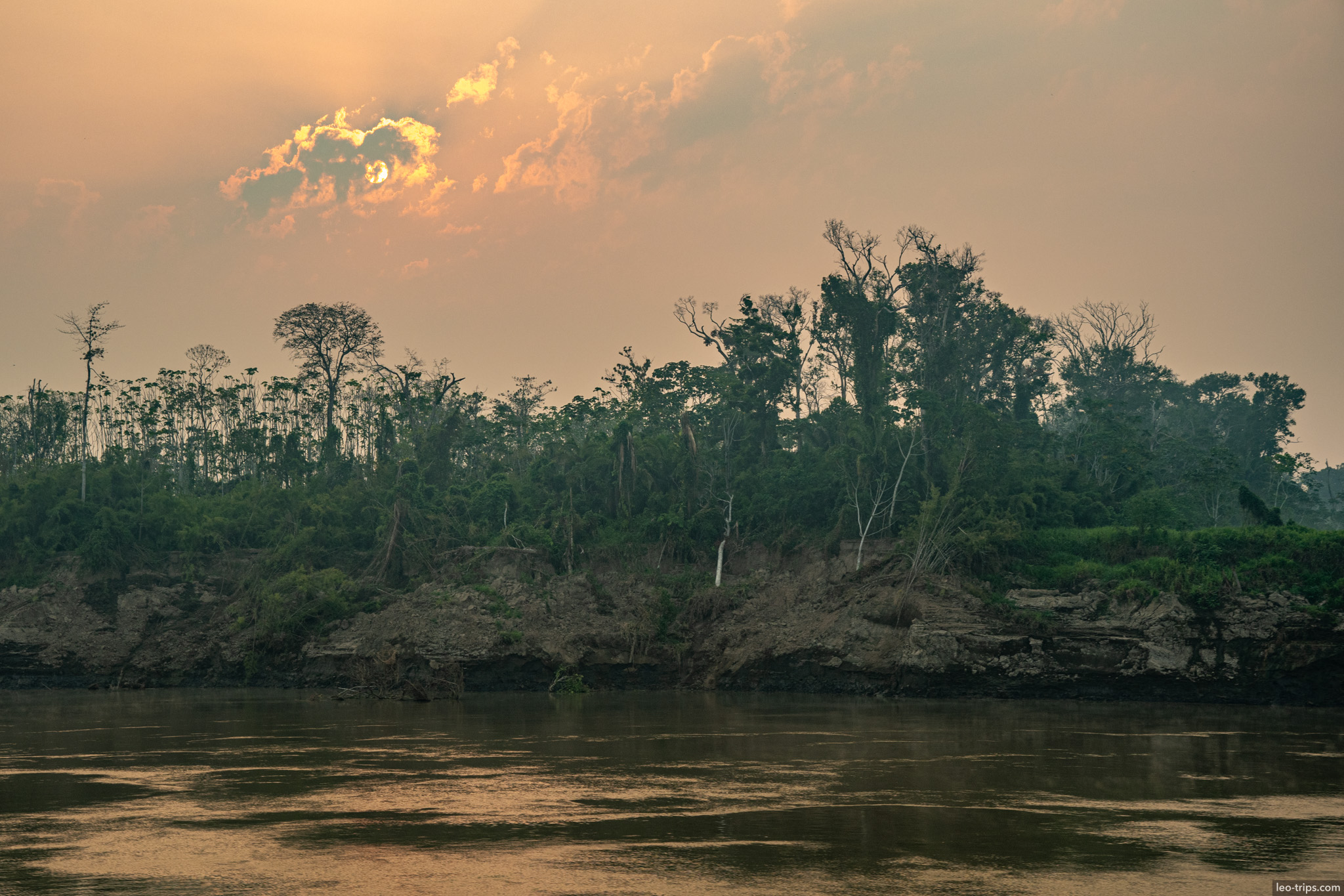 lush amazonian landscape amazon river