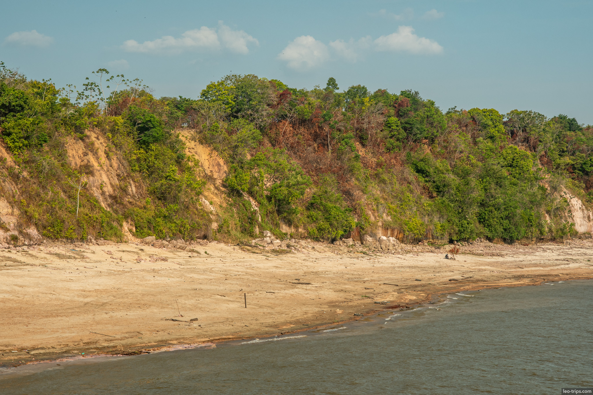 sandy beach and green trees amazon river