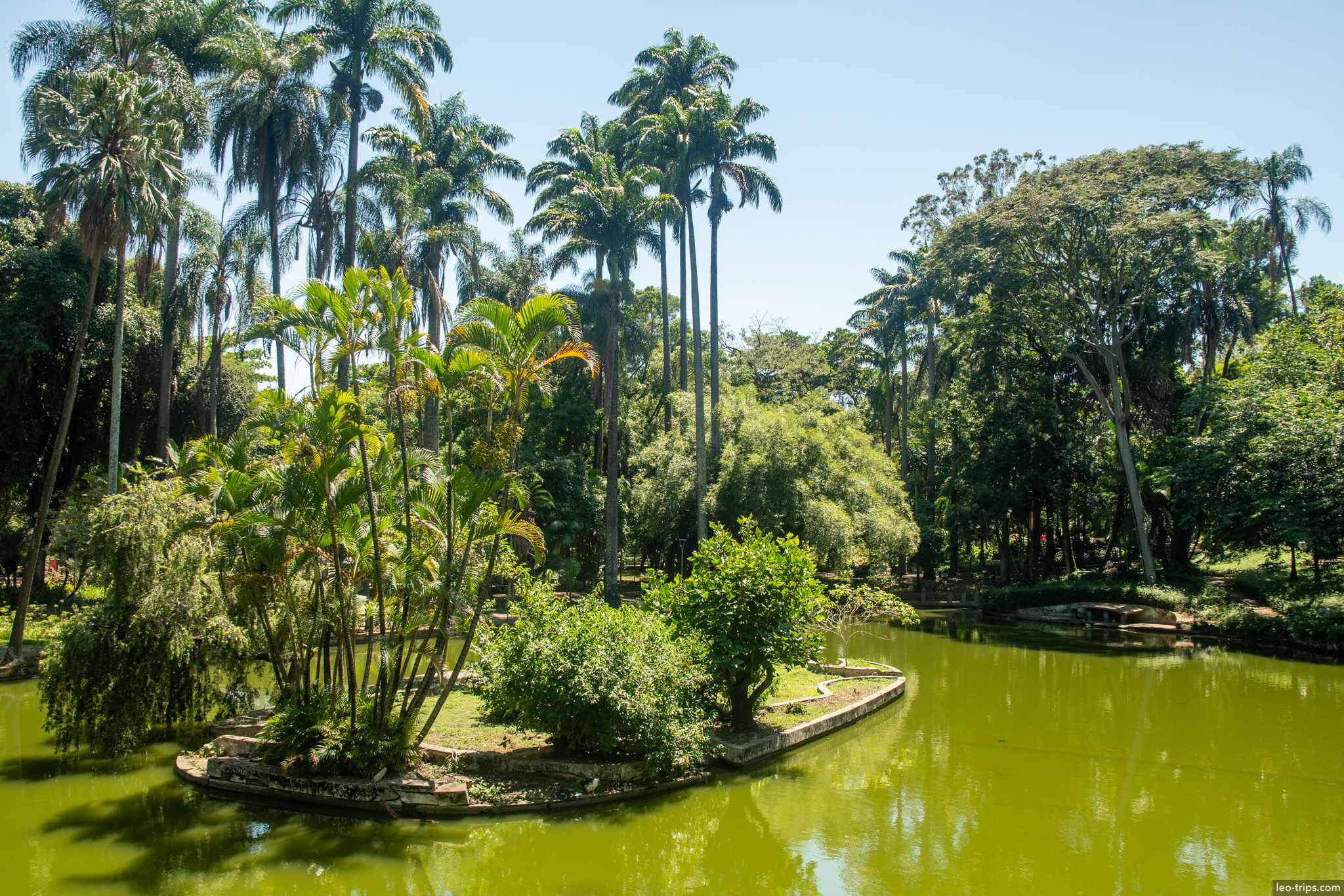 palm island green lagoon parque municipal belo horizonte