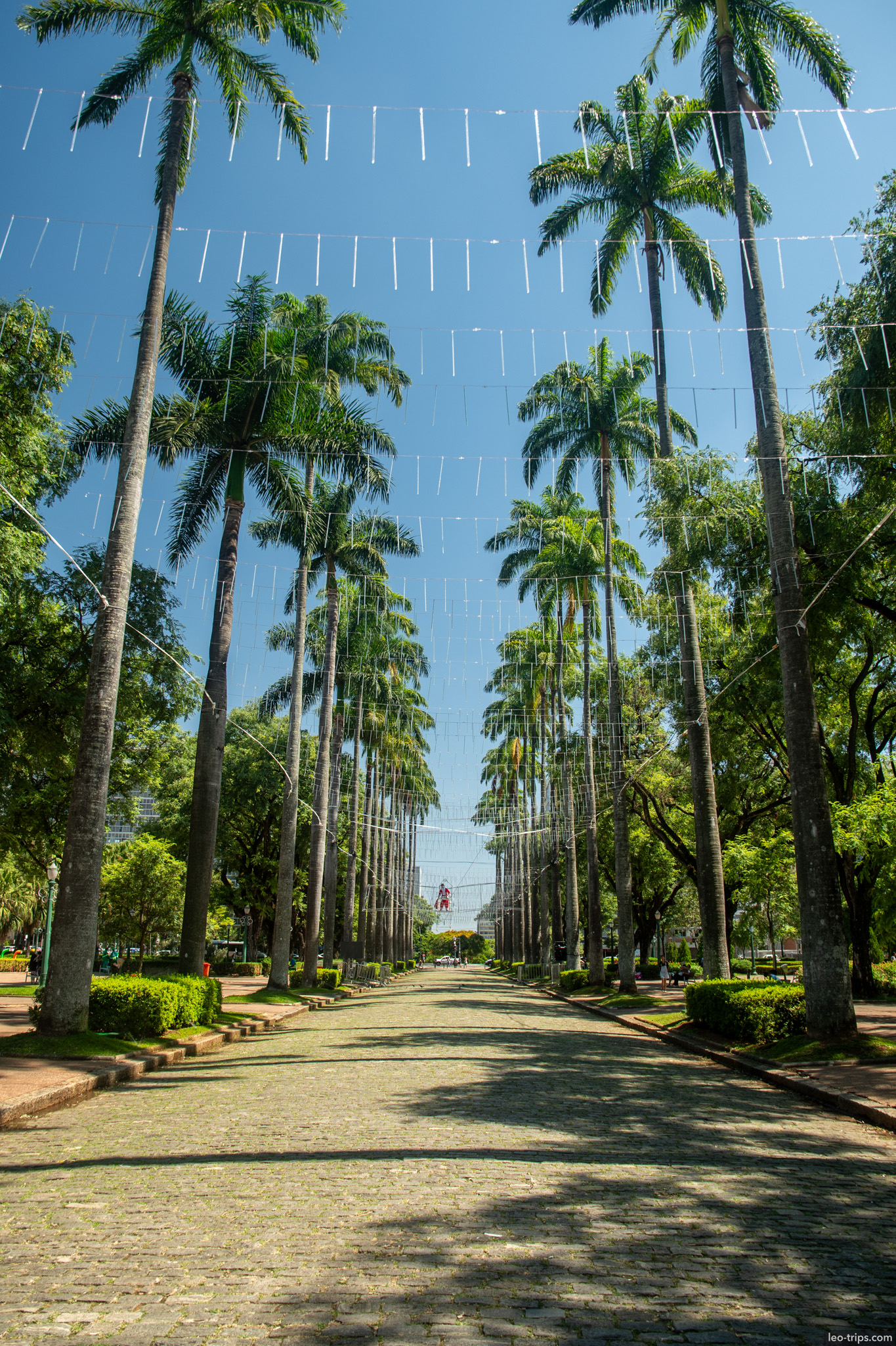 royal palm alley praca da liberdade belo horizonte belo horizonte