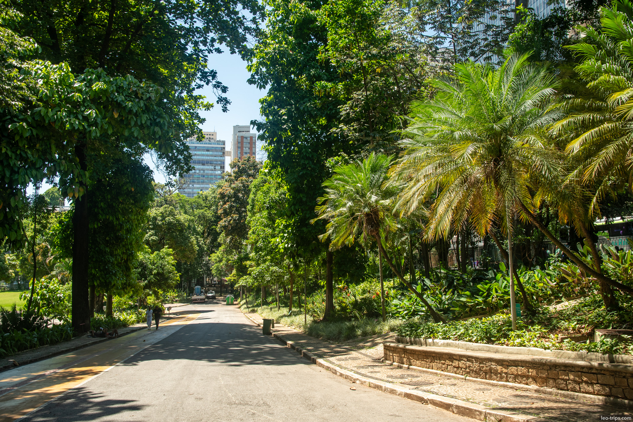 shaded path parque municipal belo horizonte belo horizonte