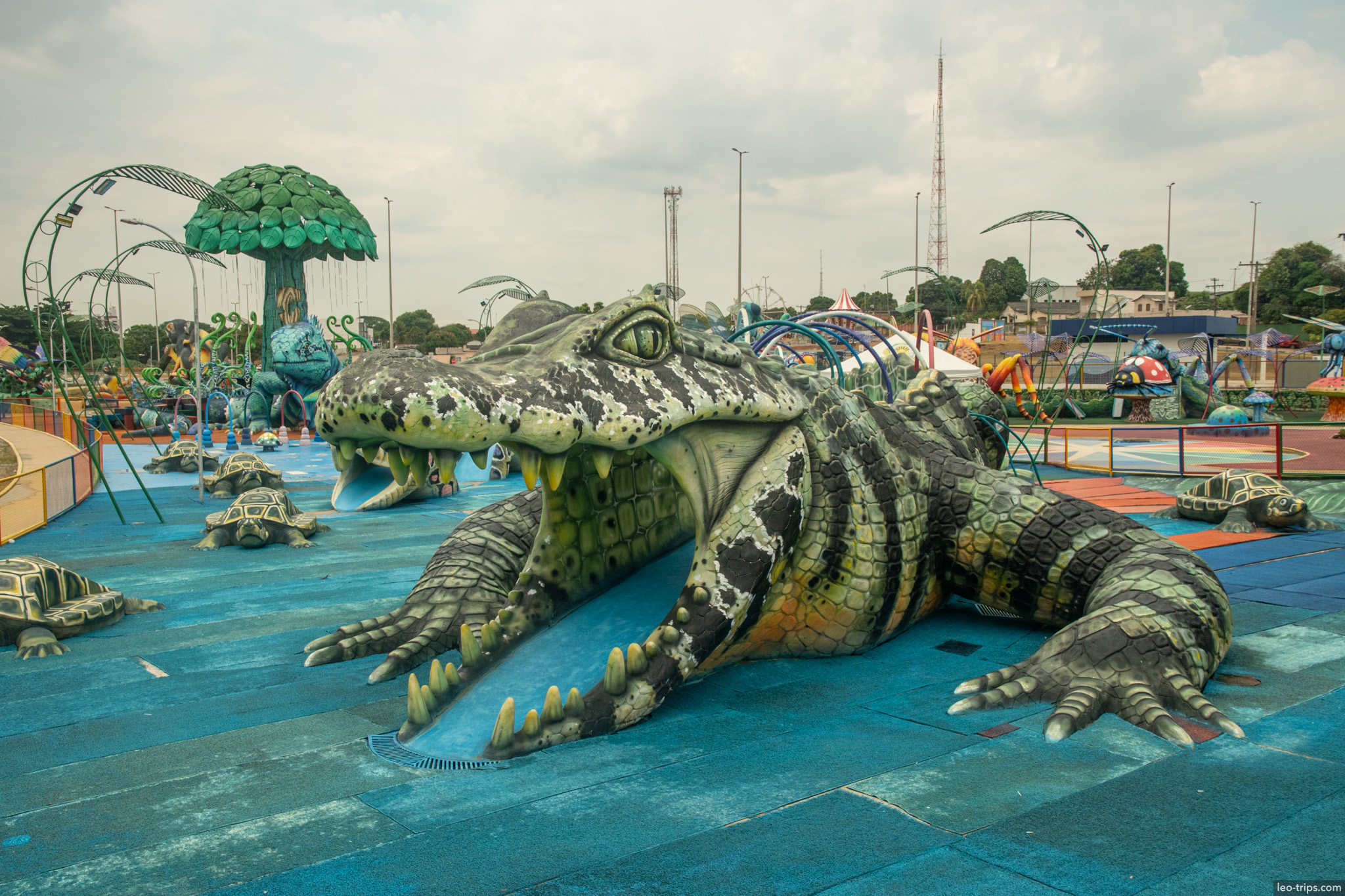 alligator water park feature boa vista