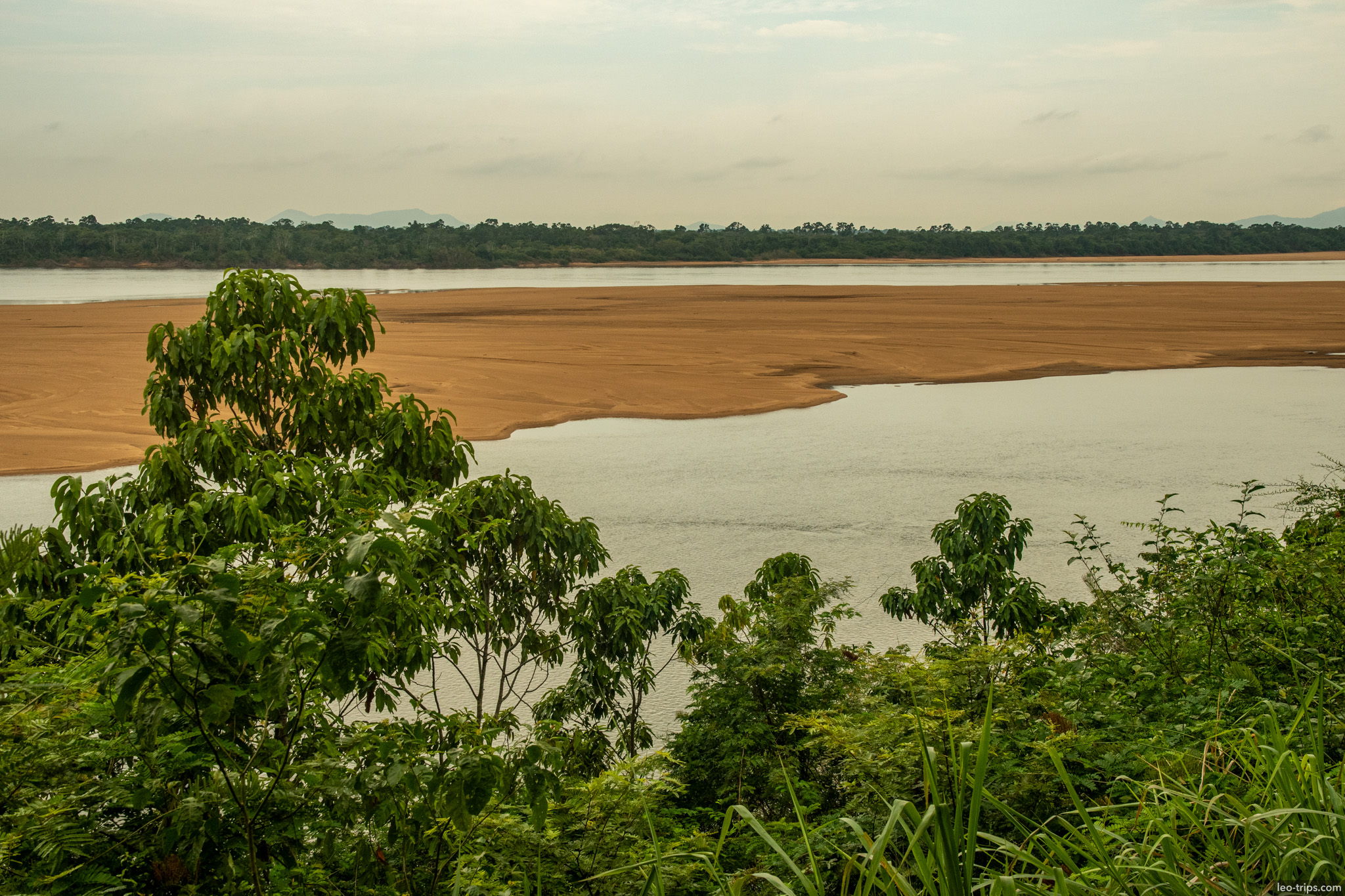 rio branco view through trees boa vista