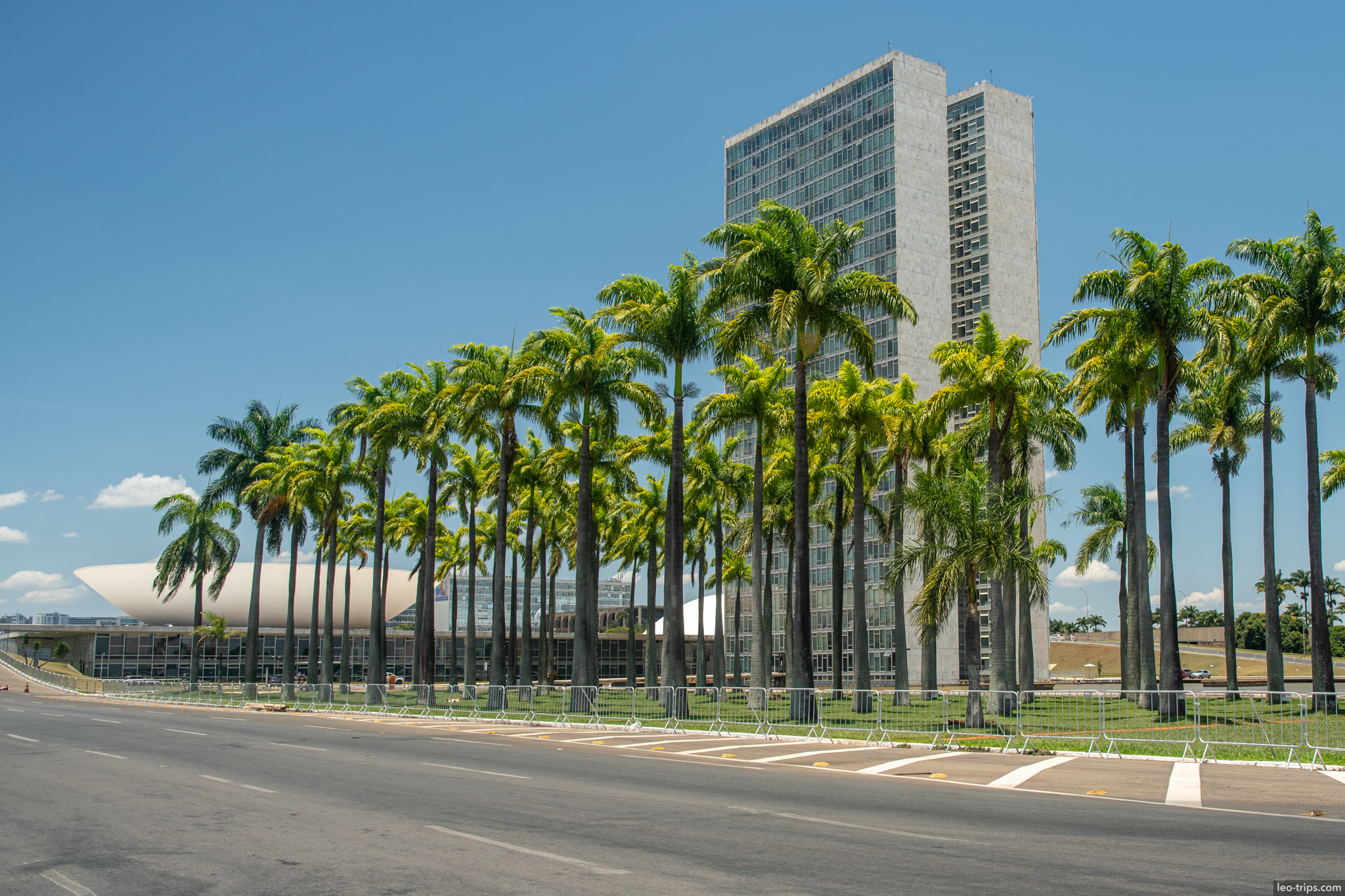 congress twin towers behind royal palms brasilia