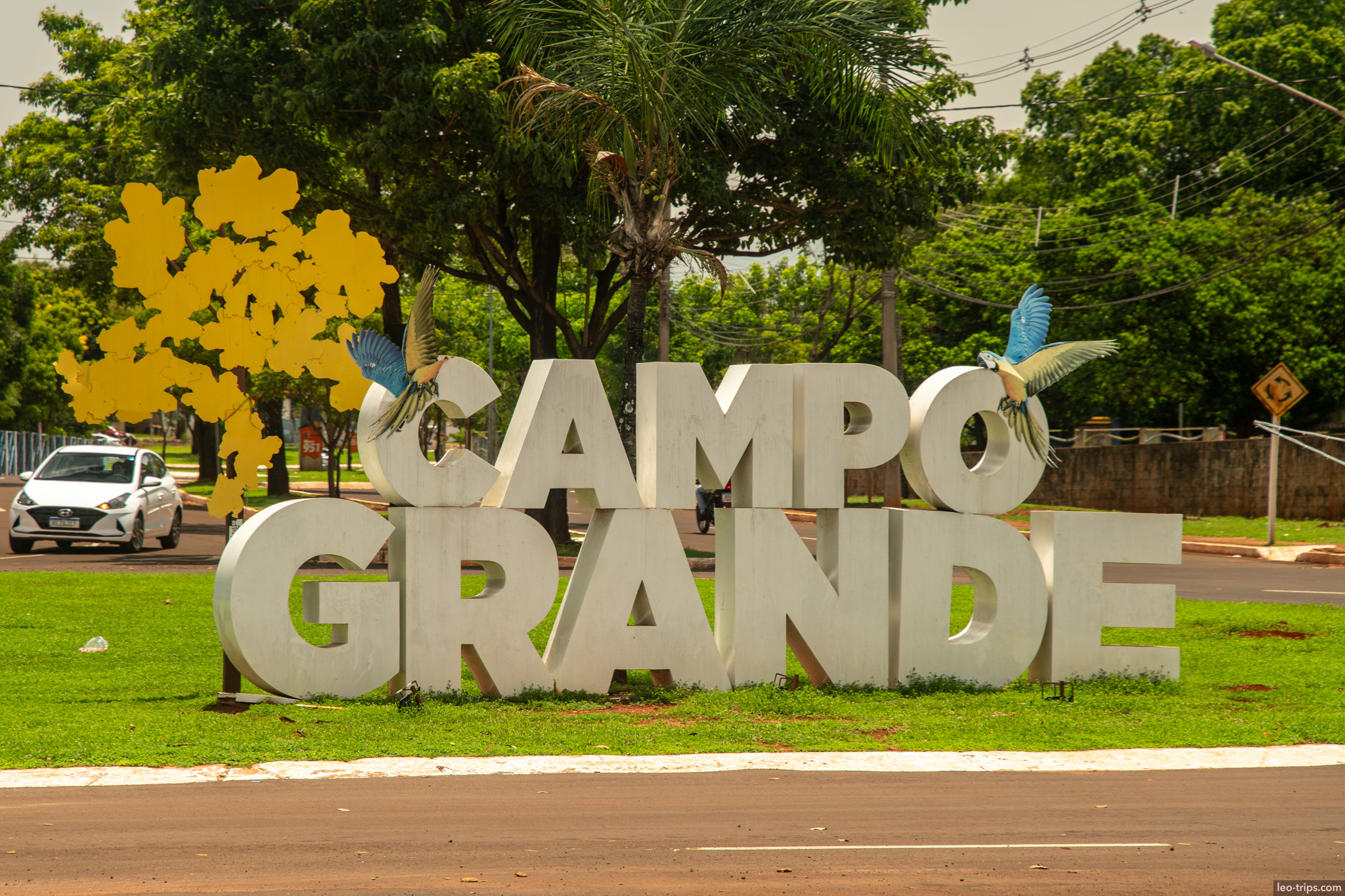 campo grande city sign macaw sculptures yellow ipe campo grande