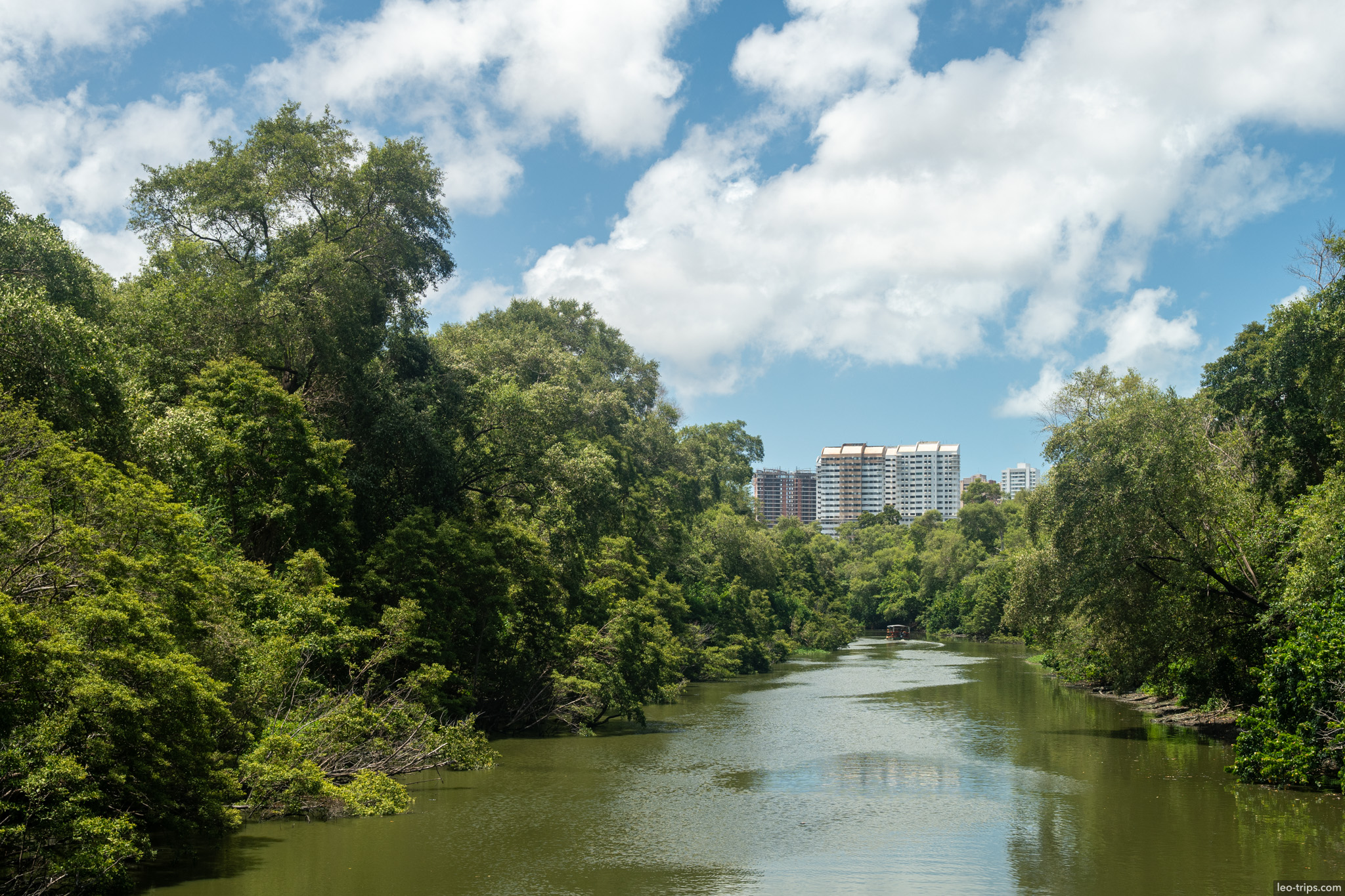 coco river lush greenery fortaleza fortaleza