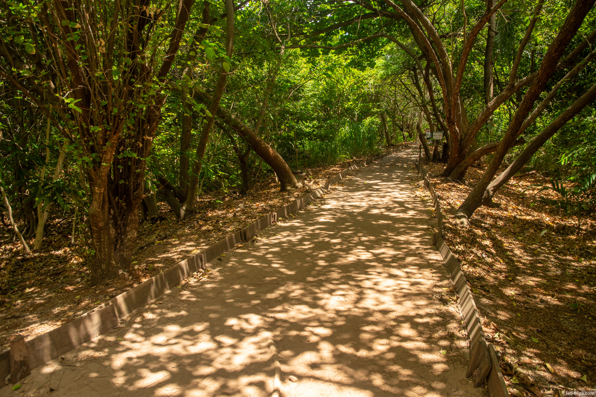 shaded trail path coco park fortaleza fortaleza