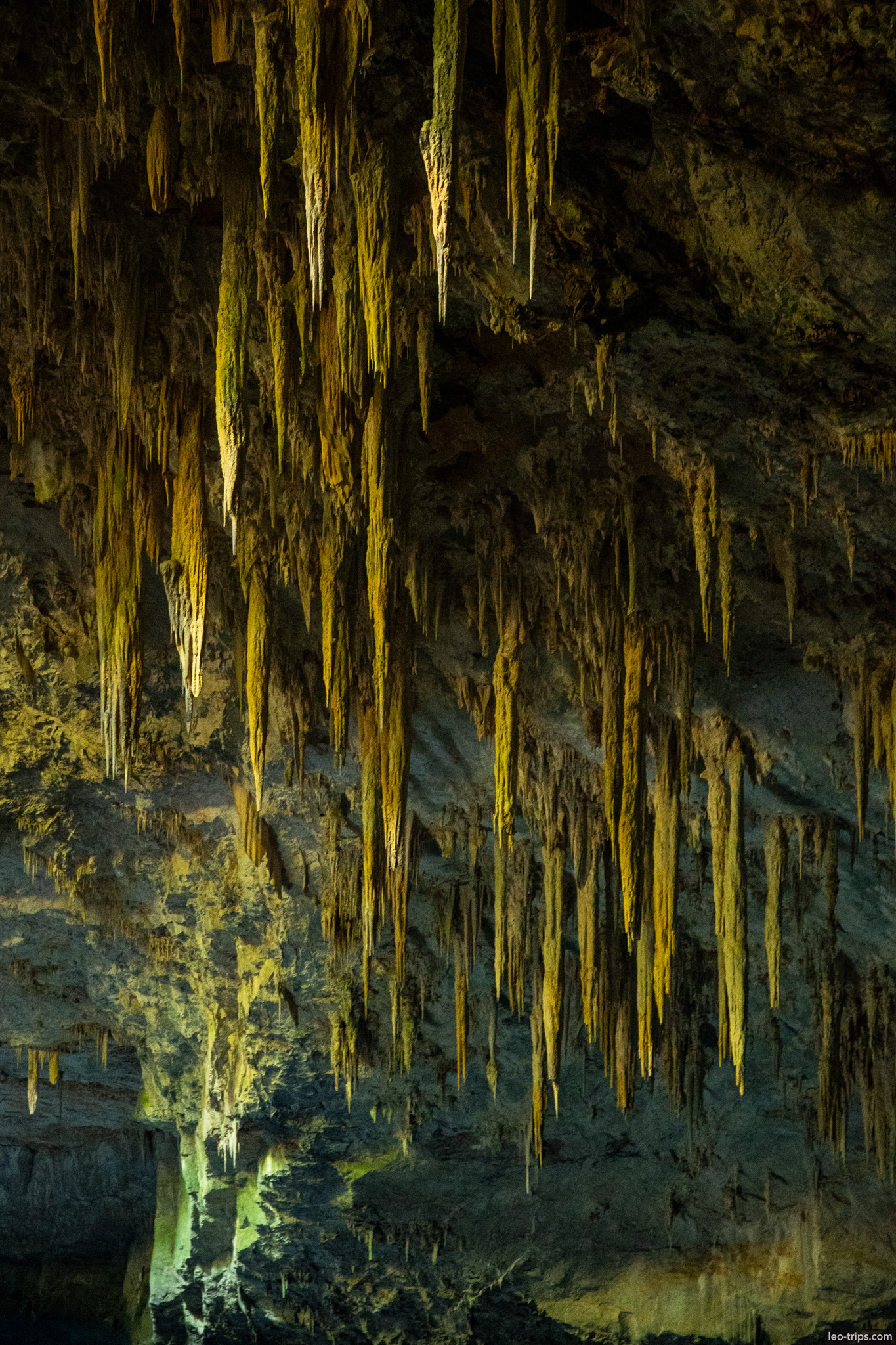 golden stalactites hanging from cave ceiling gruta do lago azul gruta do lago azul